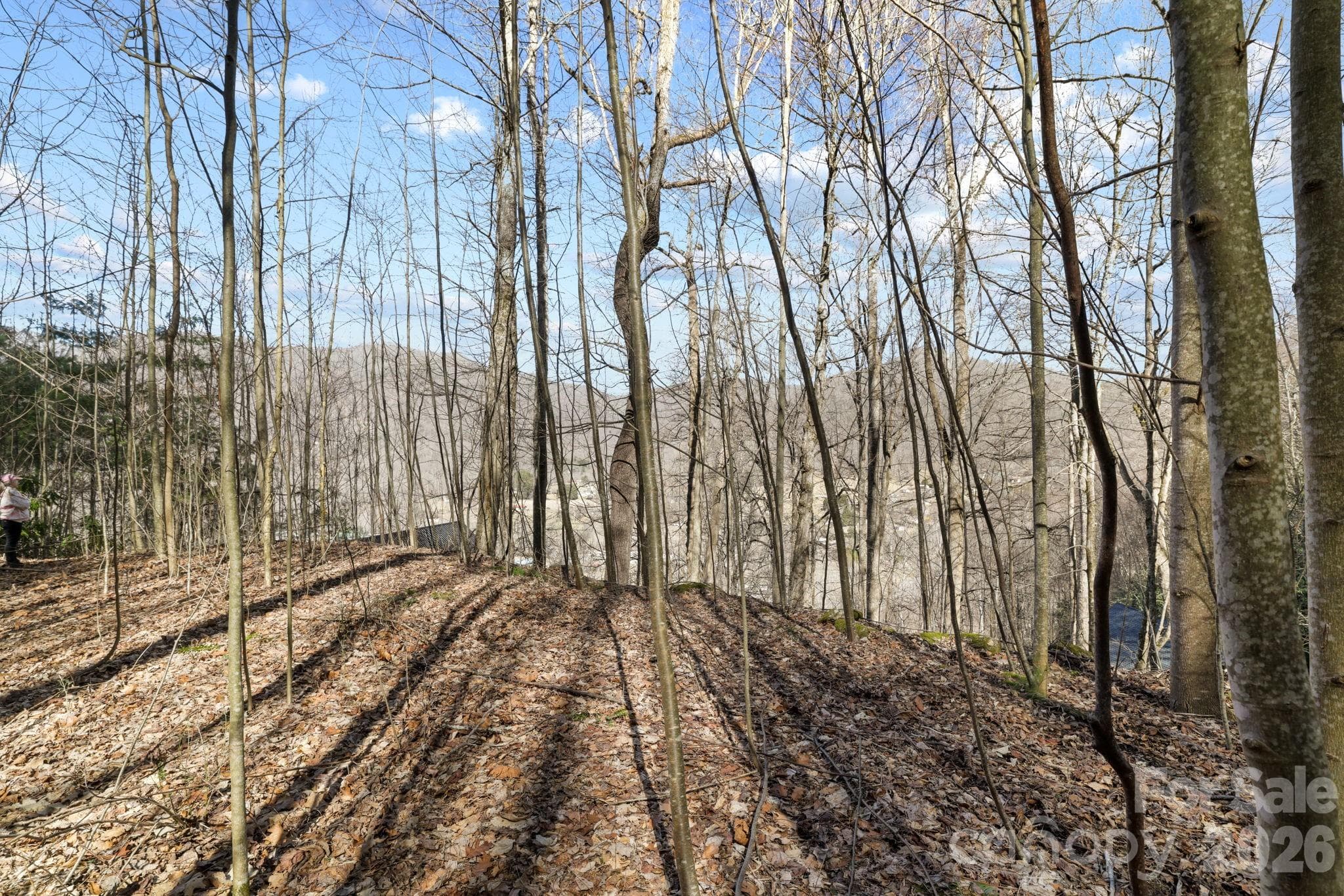 Acreage at Maggie Valley, photo 2 of 9