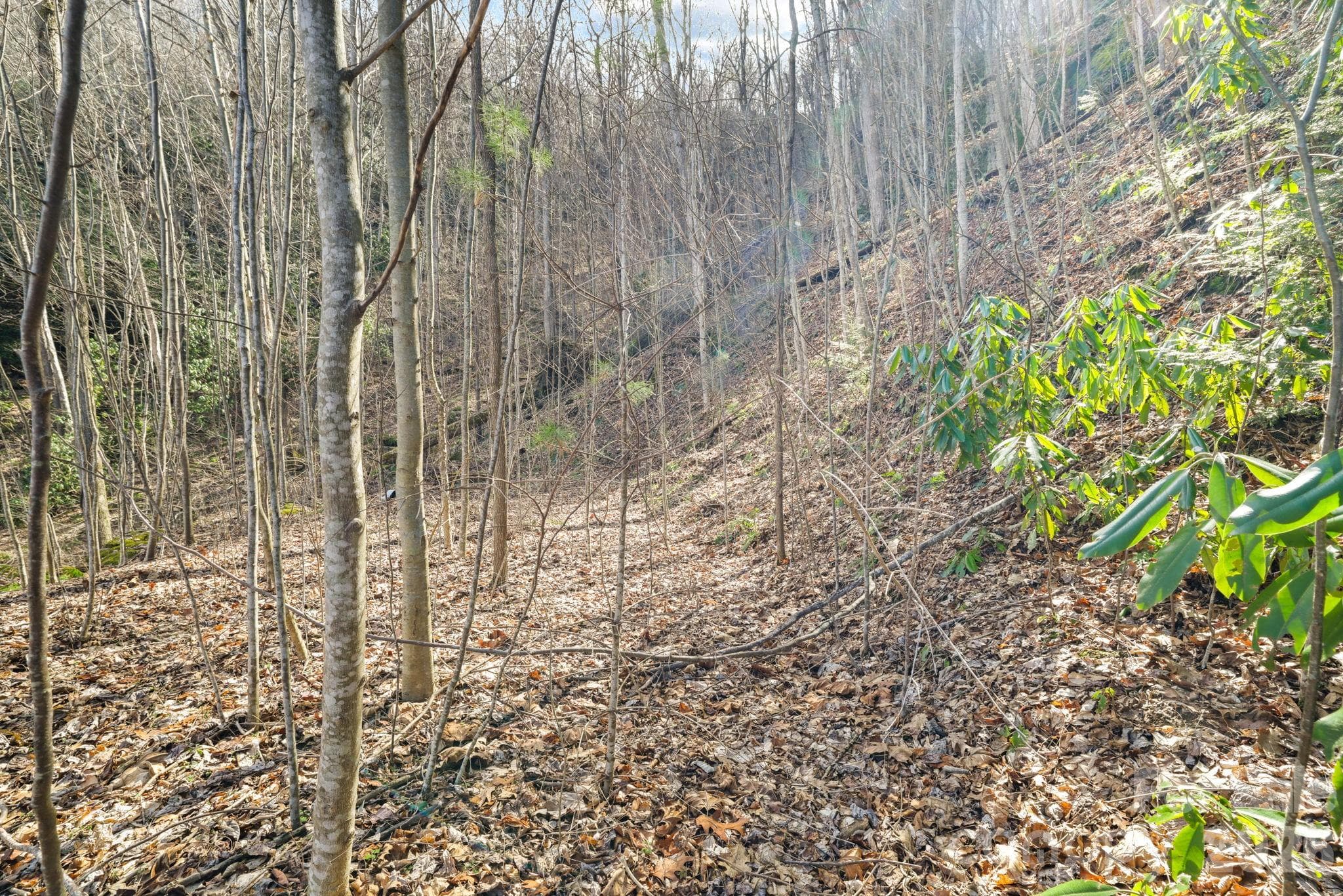 Acreage at Maggie Valley, photo 3 of 9