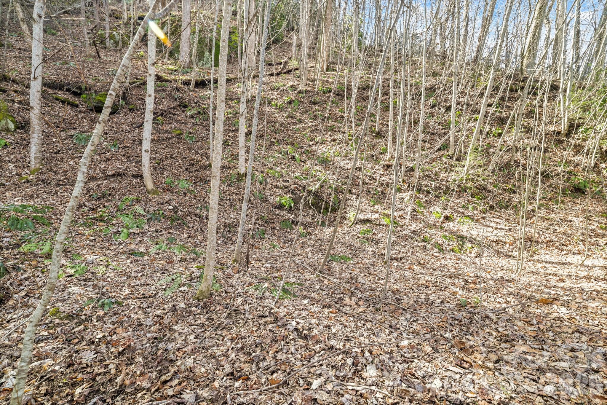 Acreage at Maggie Valley, photo 4 of 9
