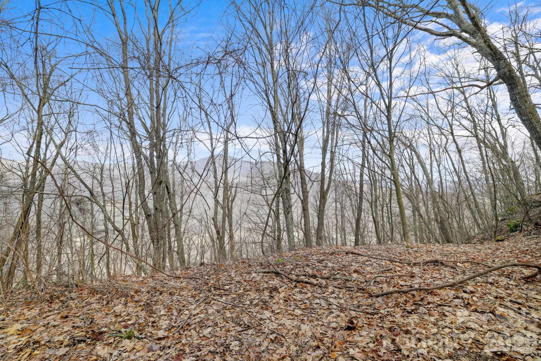 Acreage at Maggie Valley, photo 2 of 8