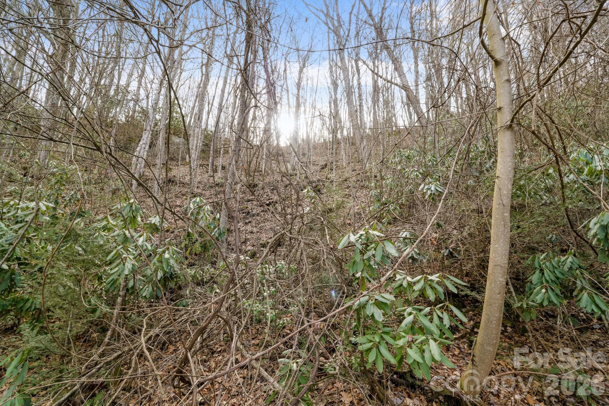 Acreage at Maggie Valley, photo 3 of 8