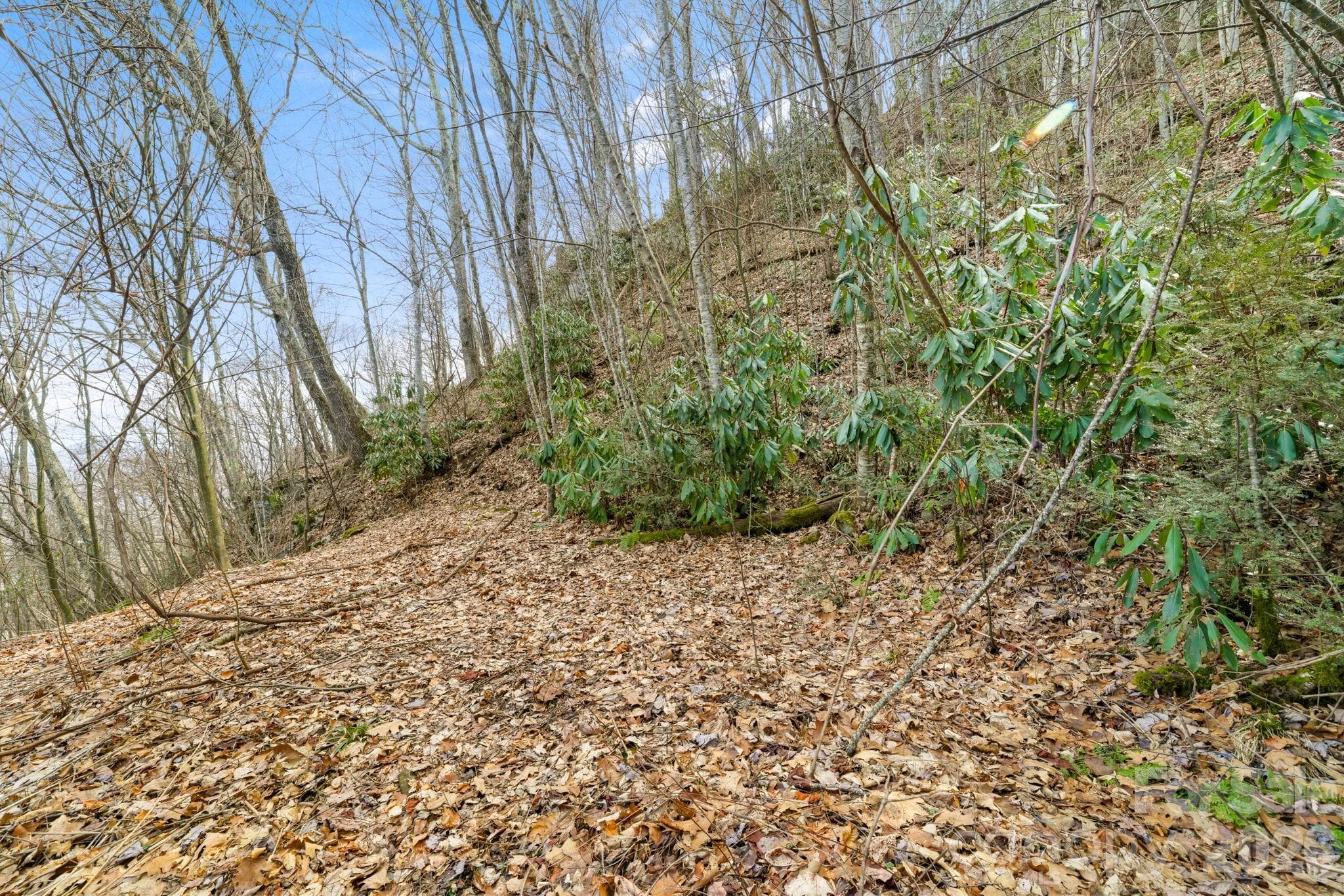 Acreage at Maggie Valley, photo 4 of 8