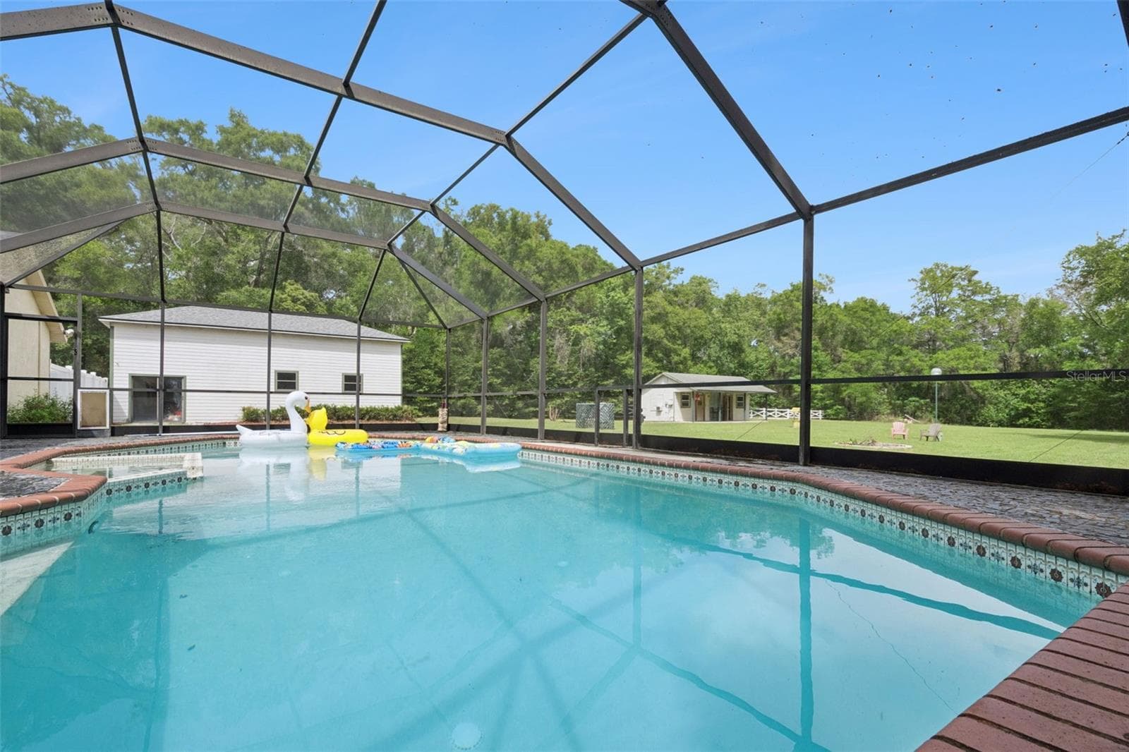 Screened Saltwater Pool - 3501 HILL STREAM AVE, APOPKA