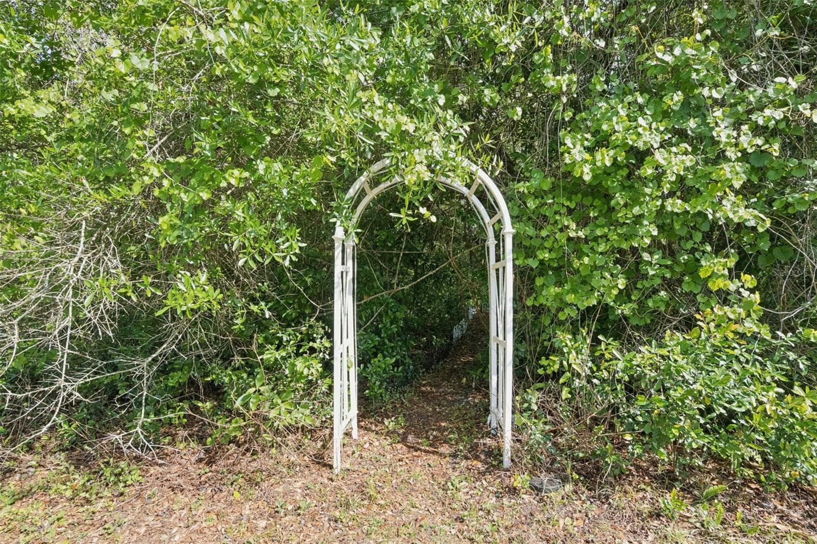 Private Secret Garden Entry - 3501 HILL STREAM AVE, APOPKA