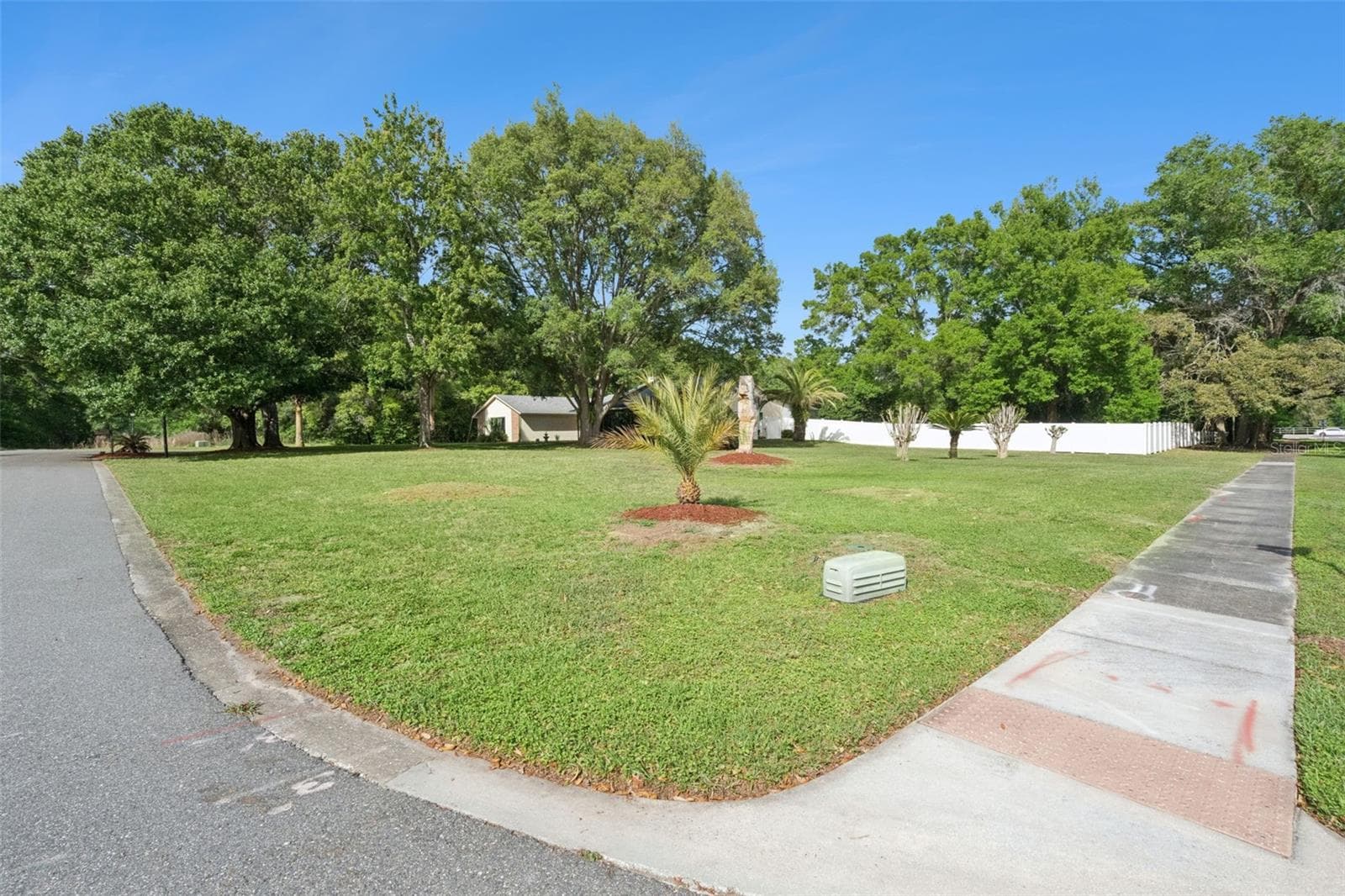 Side Yard View - 3501 HILL STREAM AVE, APOPKA
