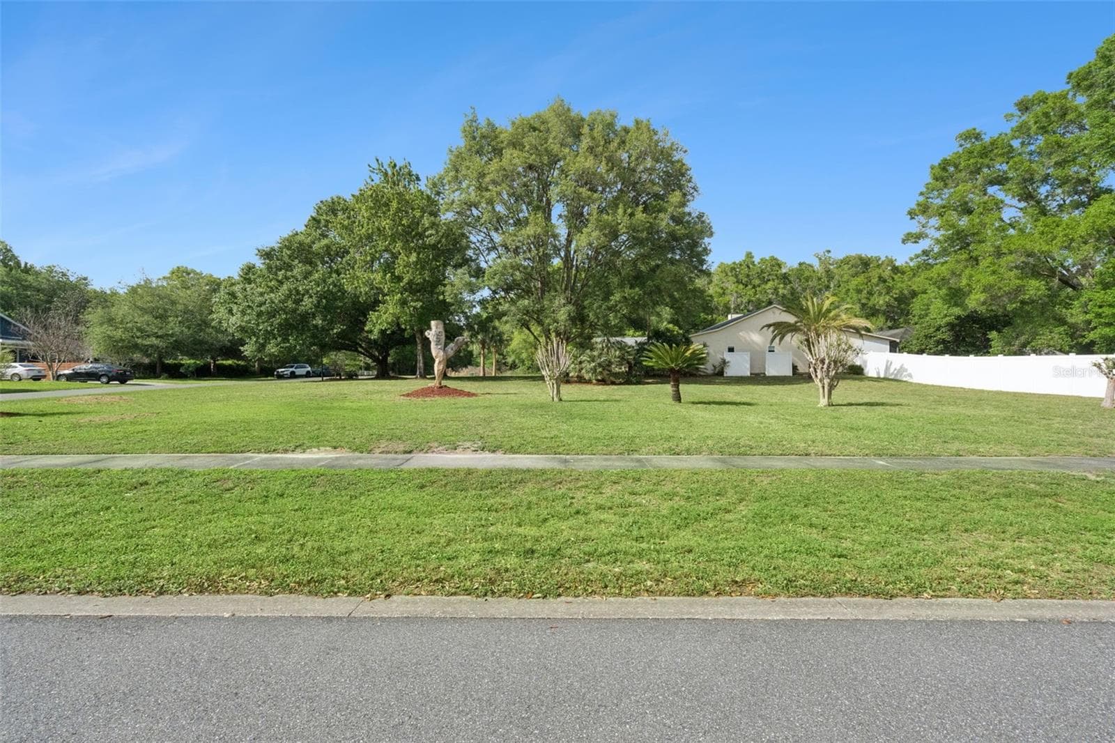 Side street view - 3501 HILL STREAM AVE, APOPKA