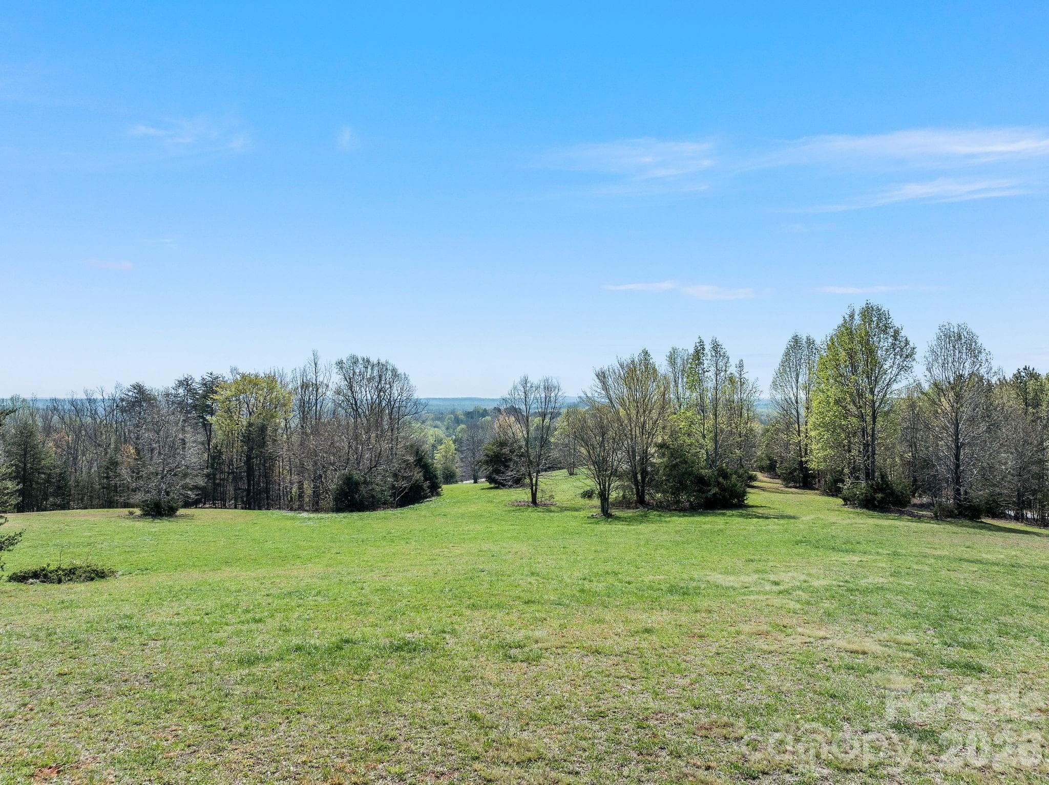 Lush, established pasture - 345 Preservation Trail, Columbus