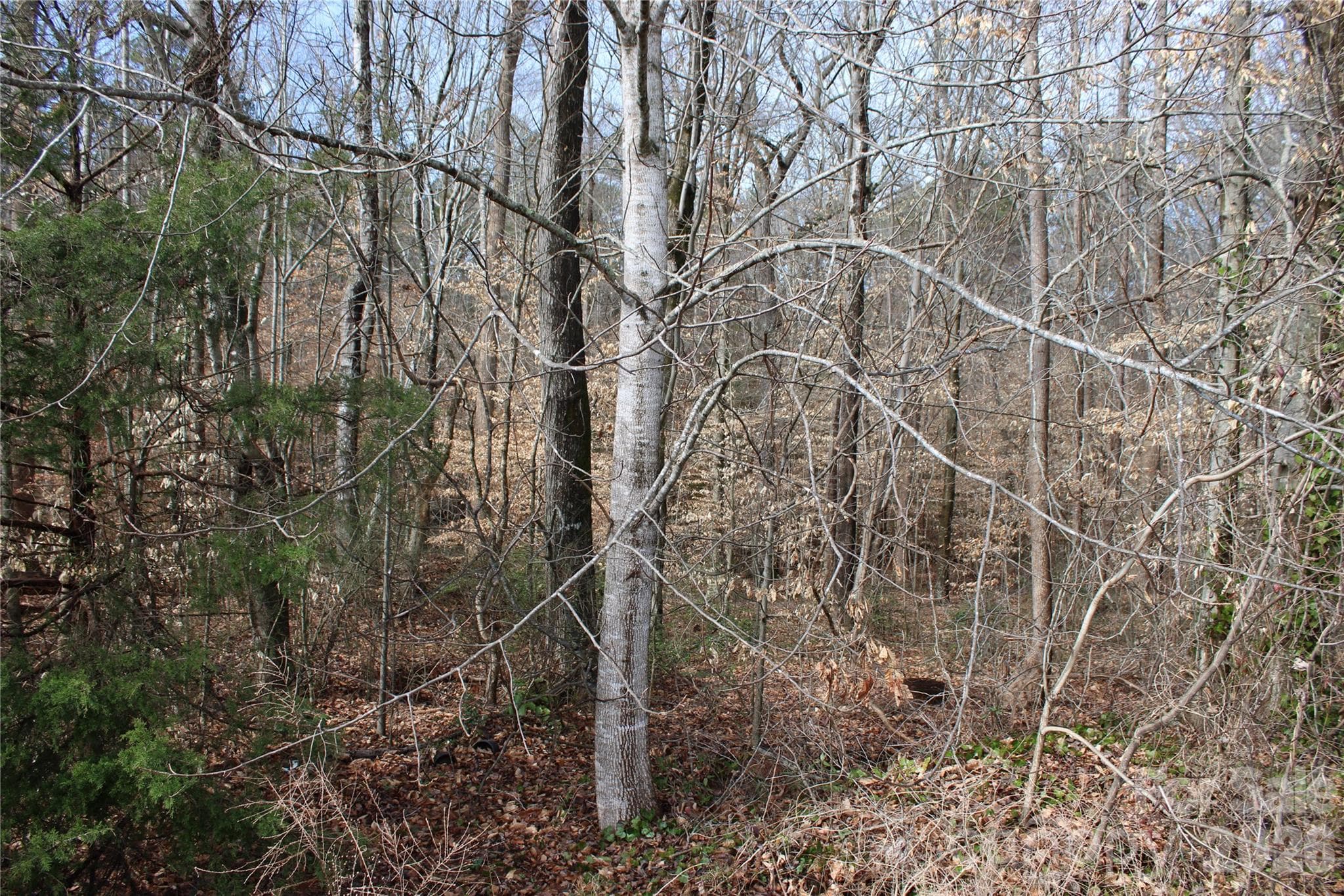 Lot at Lot 13 Weatherfield Drive, Lincolnton, photo 2 of 6