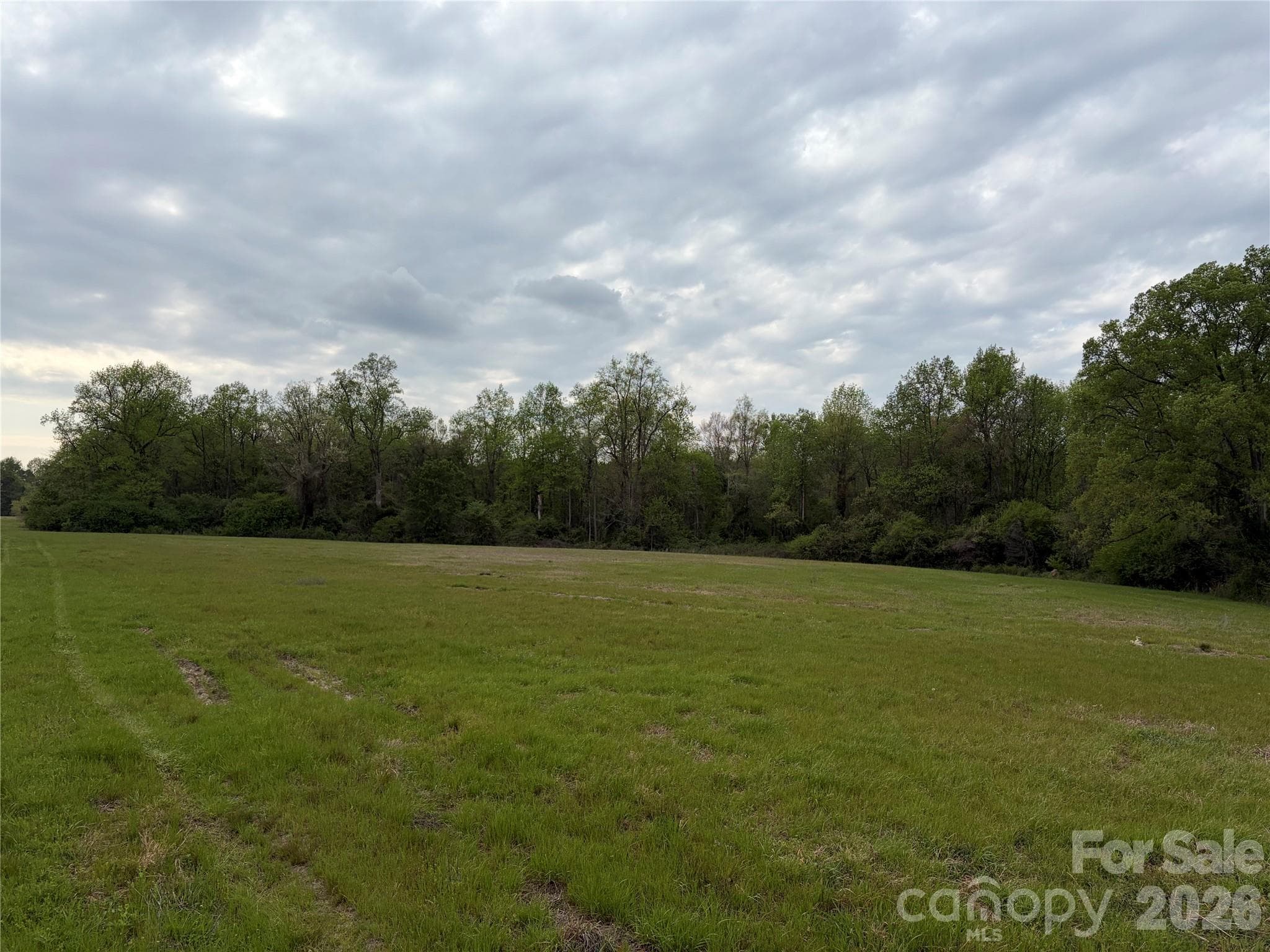 Acreage at 00 Robinson Bridge Road, Morven, photo 3 of 10