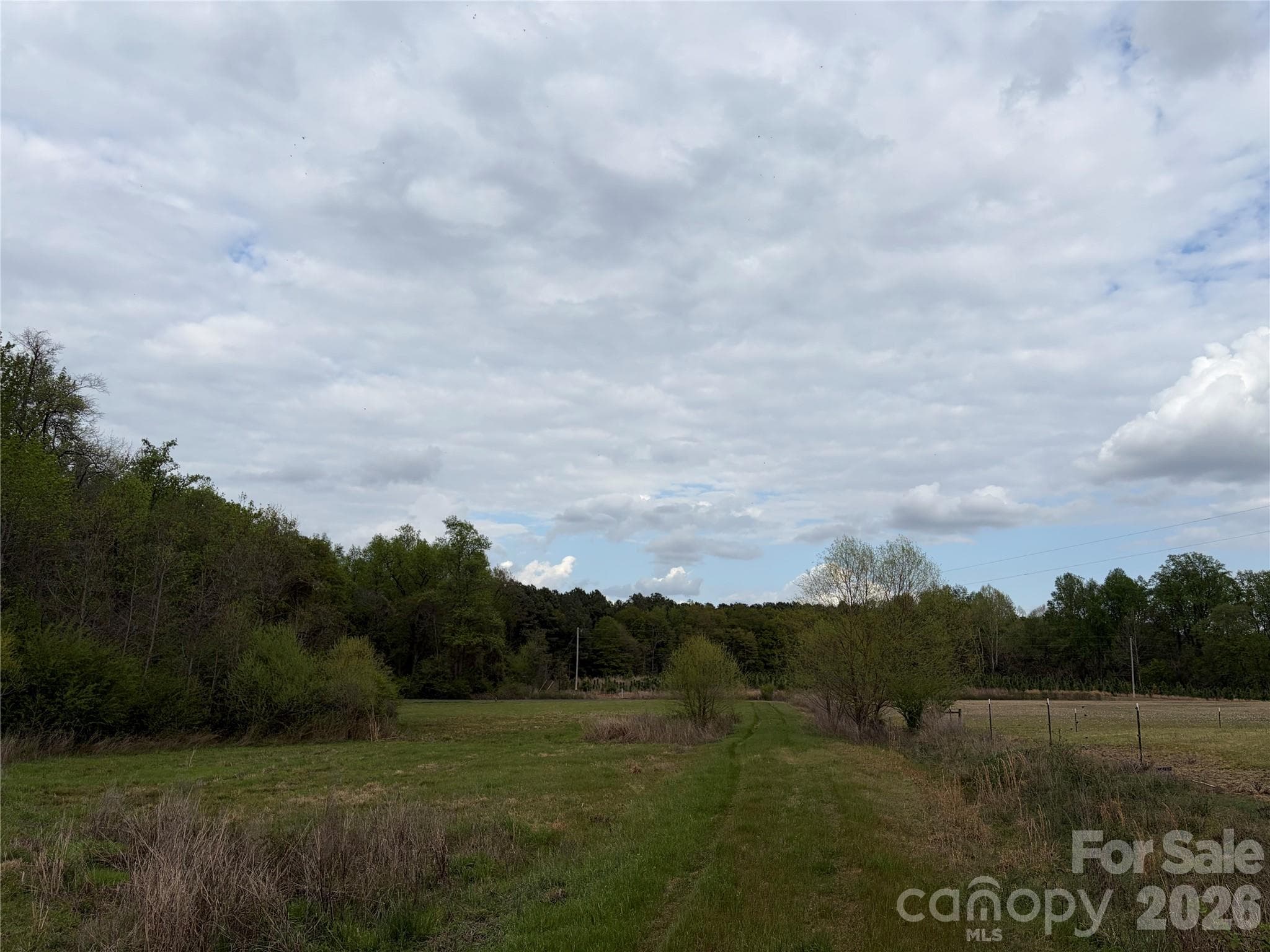 Acreage at 00 Robinson Bridge Road, Morven, photo 5 of 10