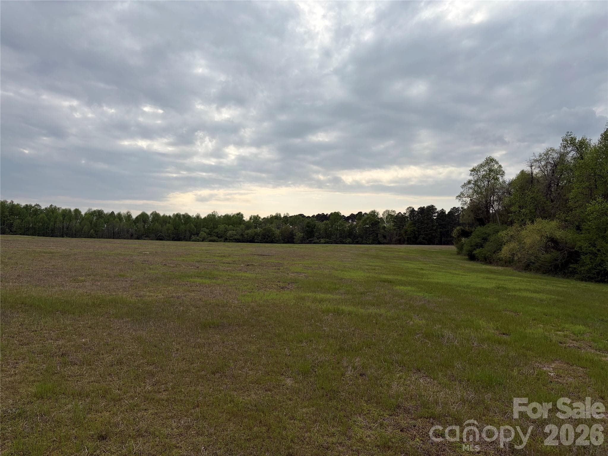 Acreage at 00 Robinson Bridge Road, Morven, photo 7 of 10