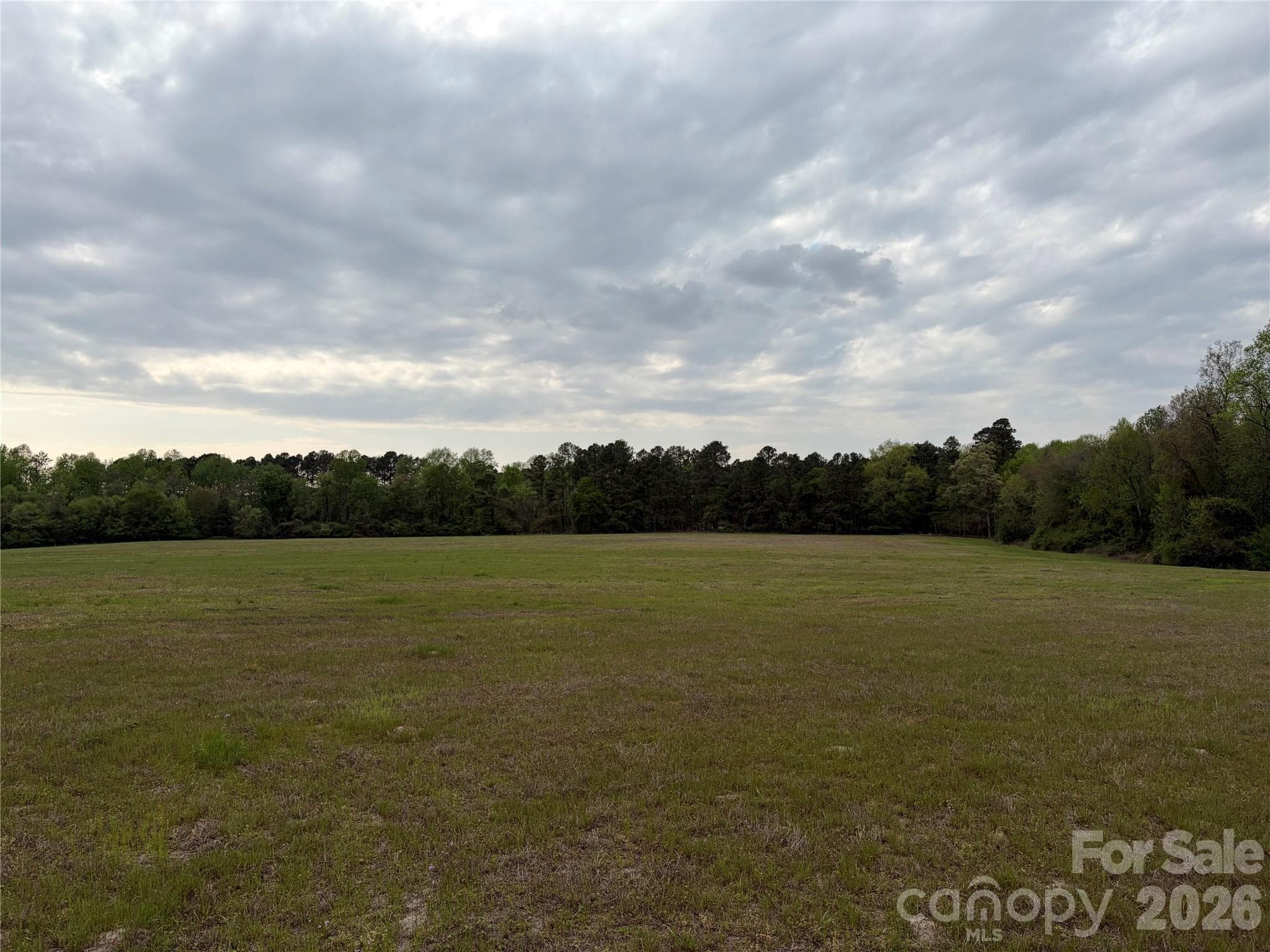 Acreage at 00 Robinson Bridge Road, Morven, photo 9 of 10