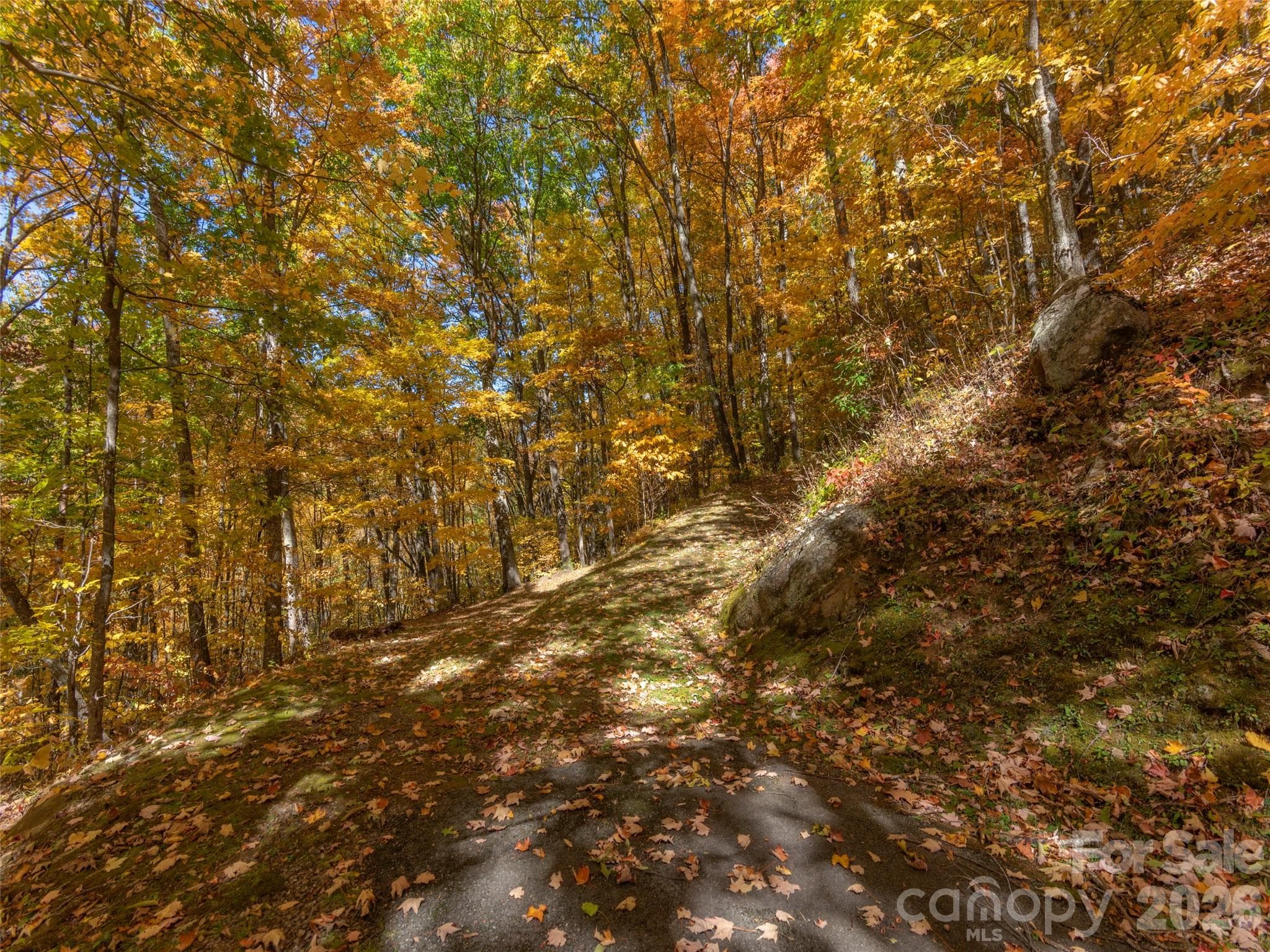 Lot at Waynesville, photo 14 of 28