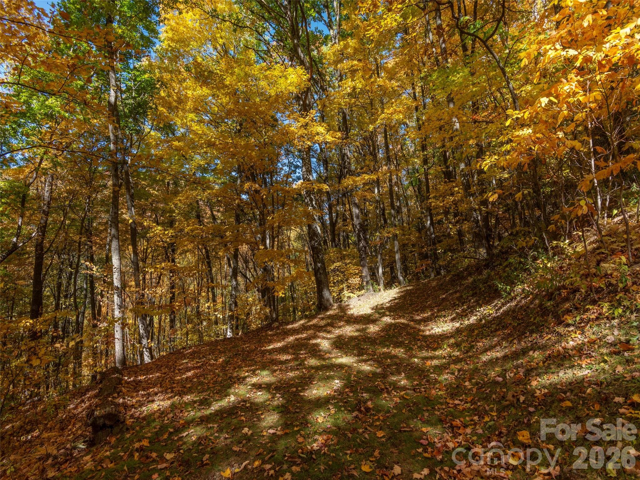 Lot at Waynesville, photo 15 of 28