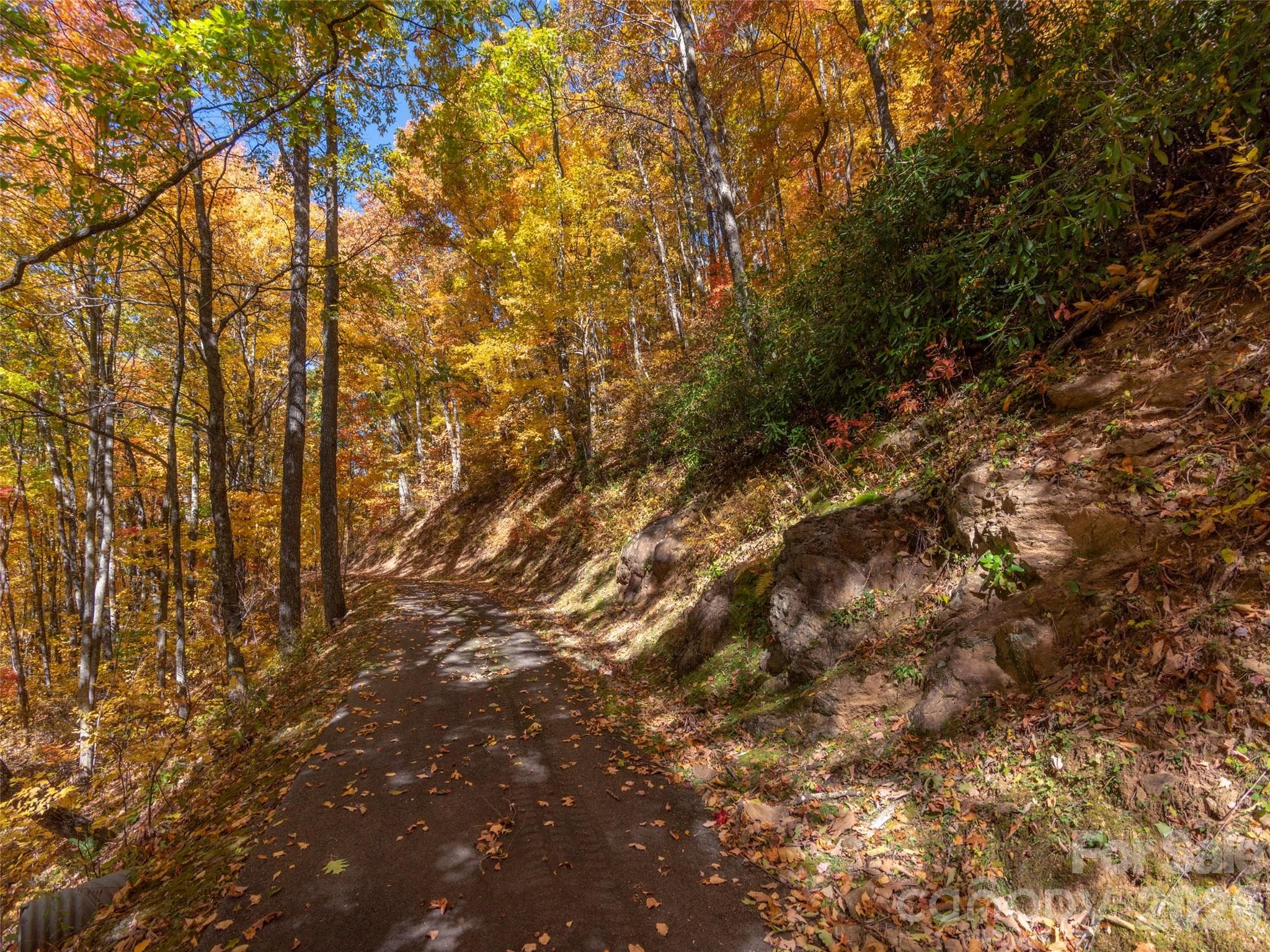 Lot at Waynesville, photo 17 of 28