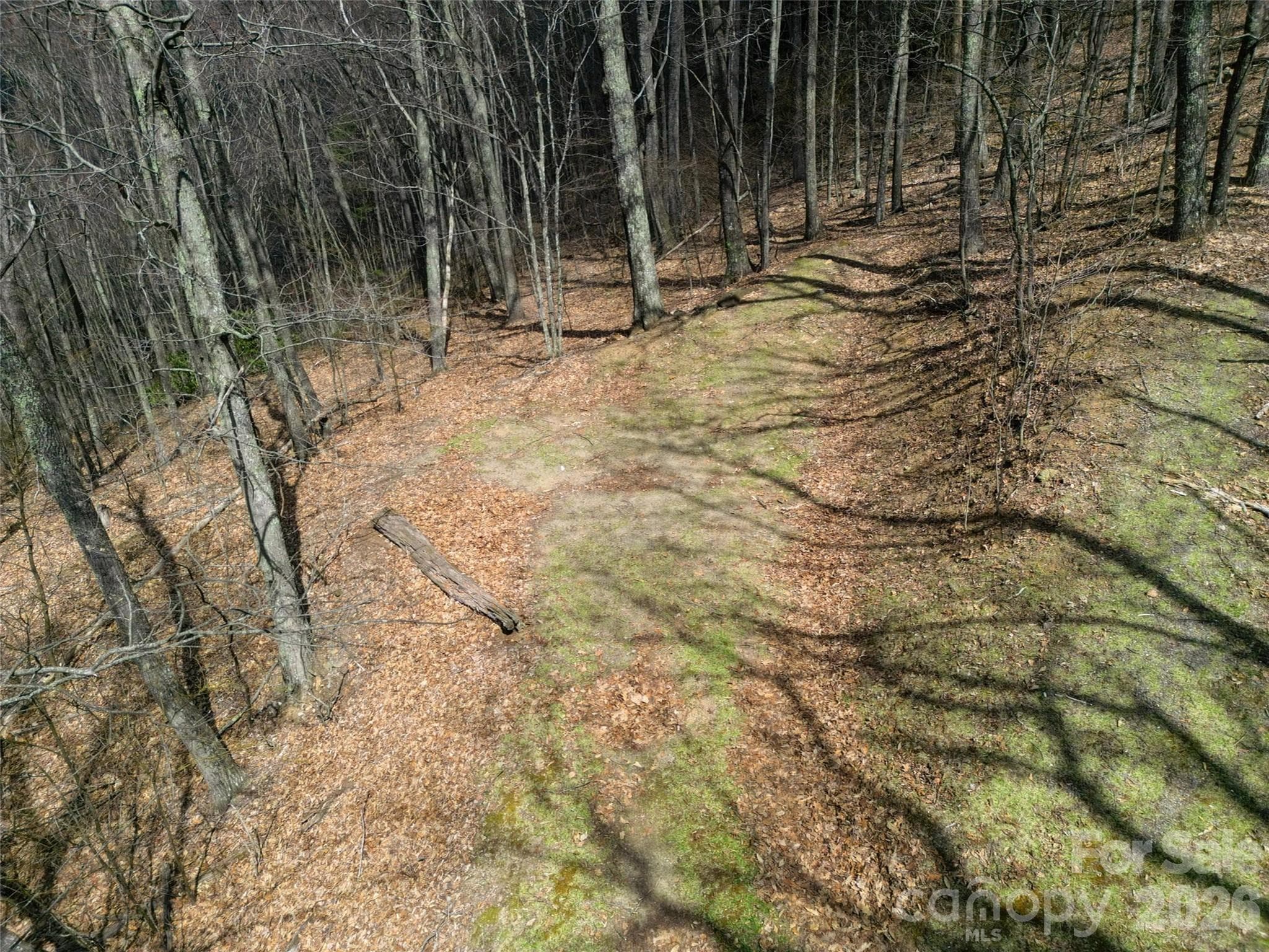 Lot at Waynesville, photo 5 of 28