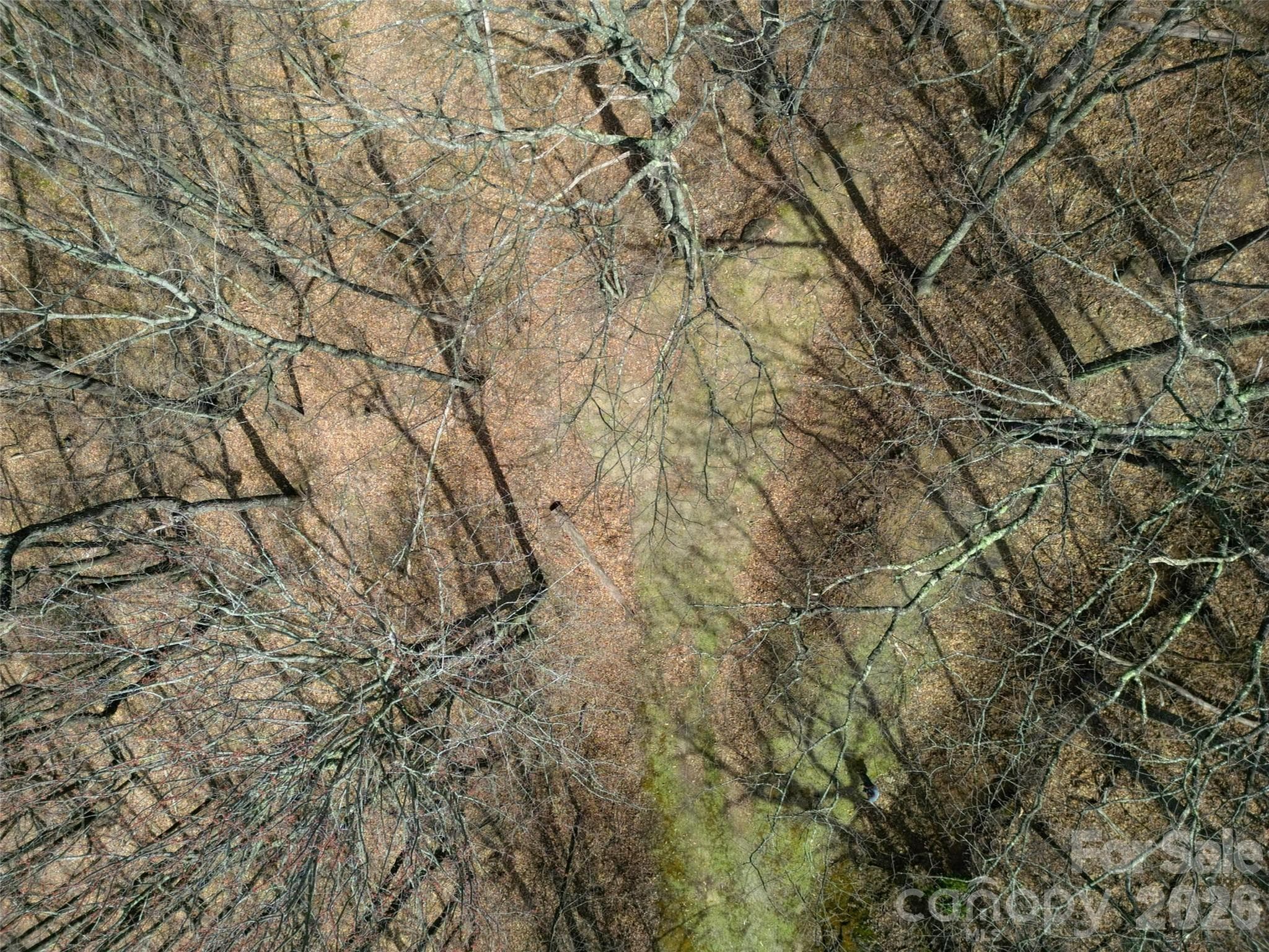 Lot at Waynesville, photo 25 of 28