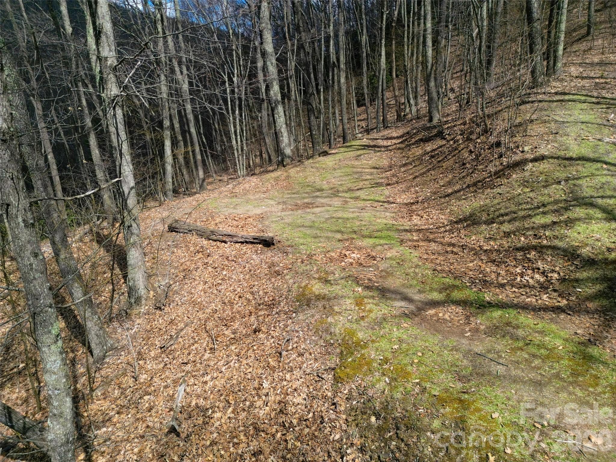 Lot at Waynesville, photo 3 of 28
