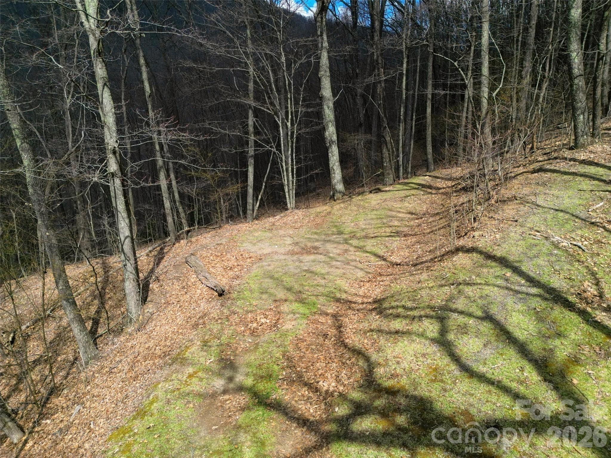 Lot at Waynesville, photo 8 of 28