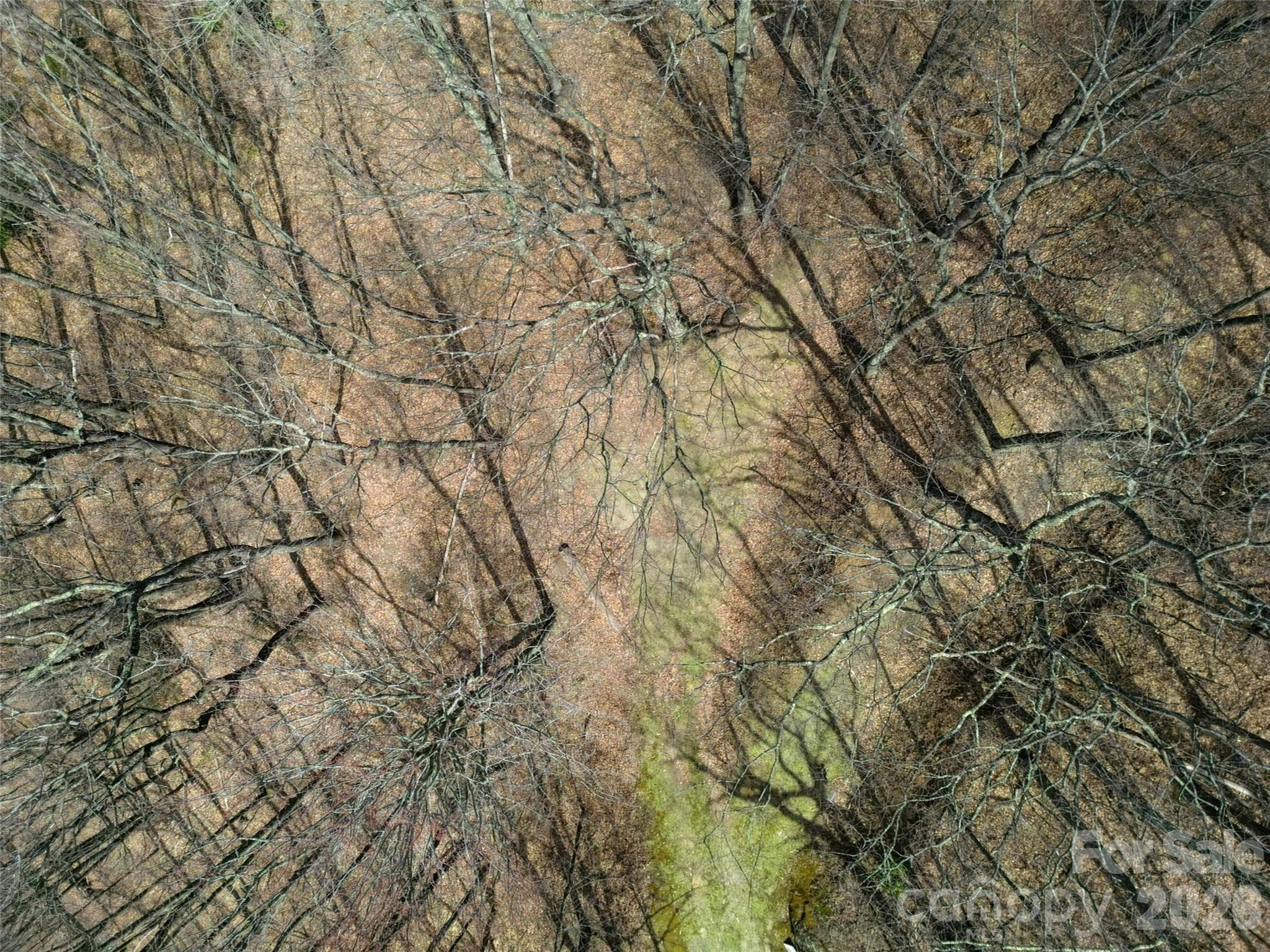 Lot at Waynesville, photo 9 of 28