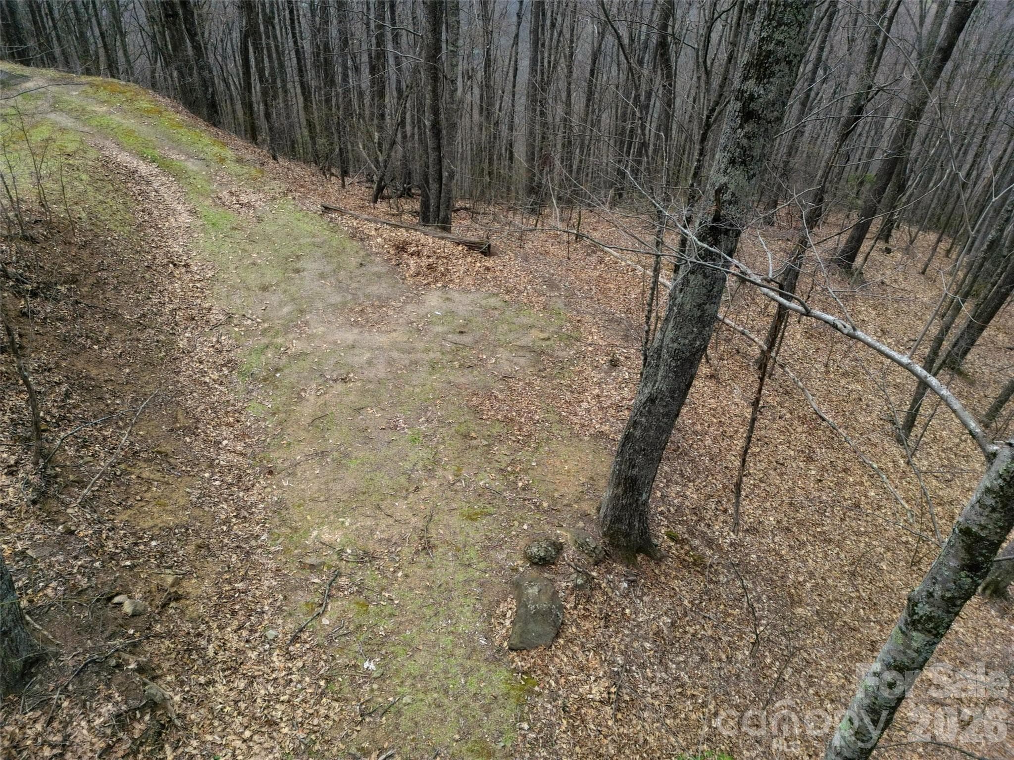 Lot at Waynesville, photo 26 of 28
