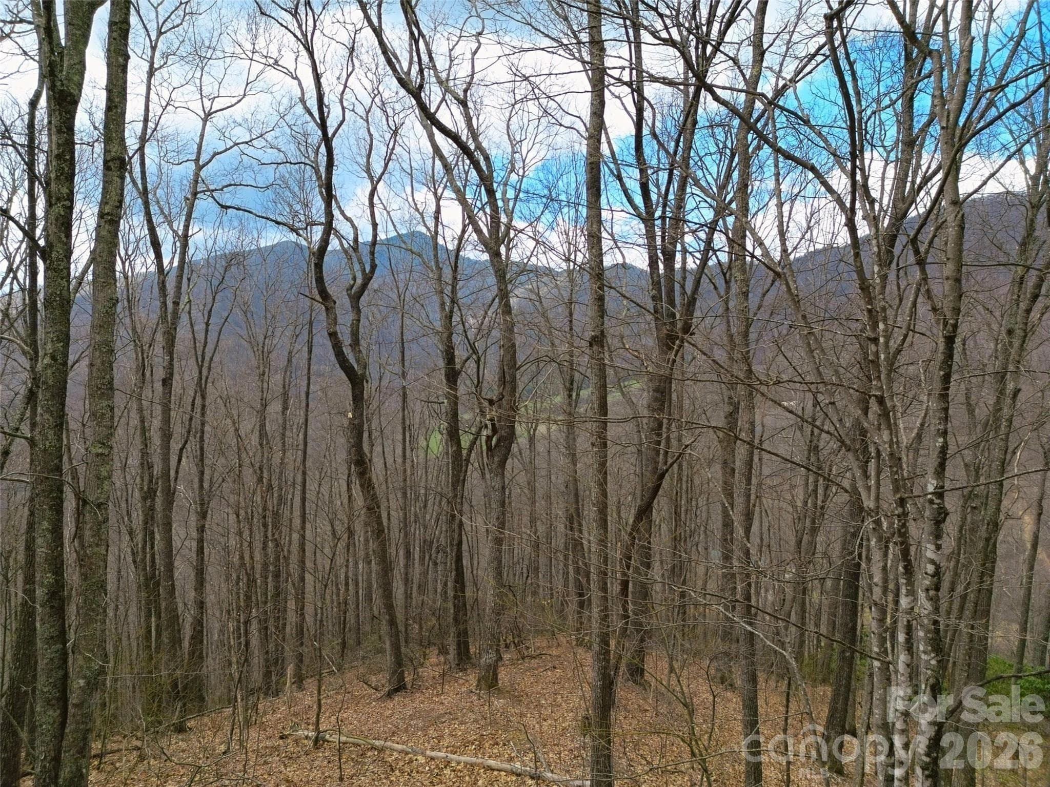 Lot at Waynesville, photo 27 of 28