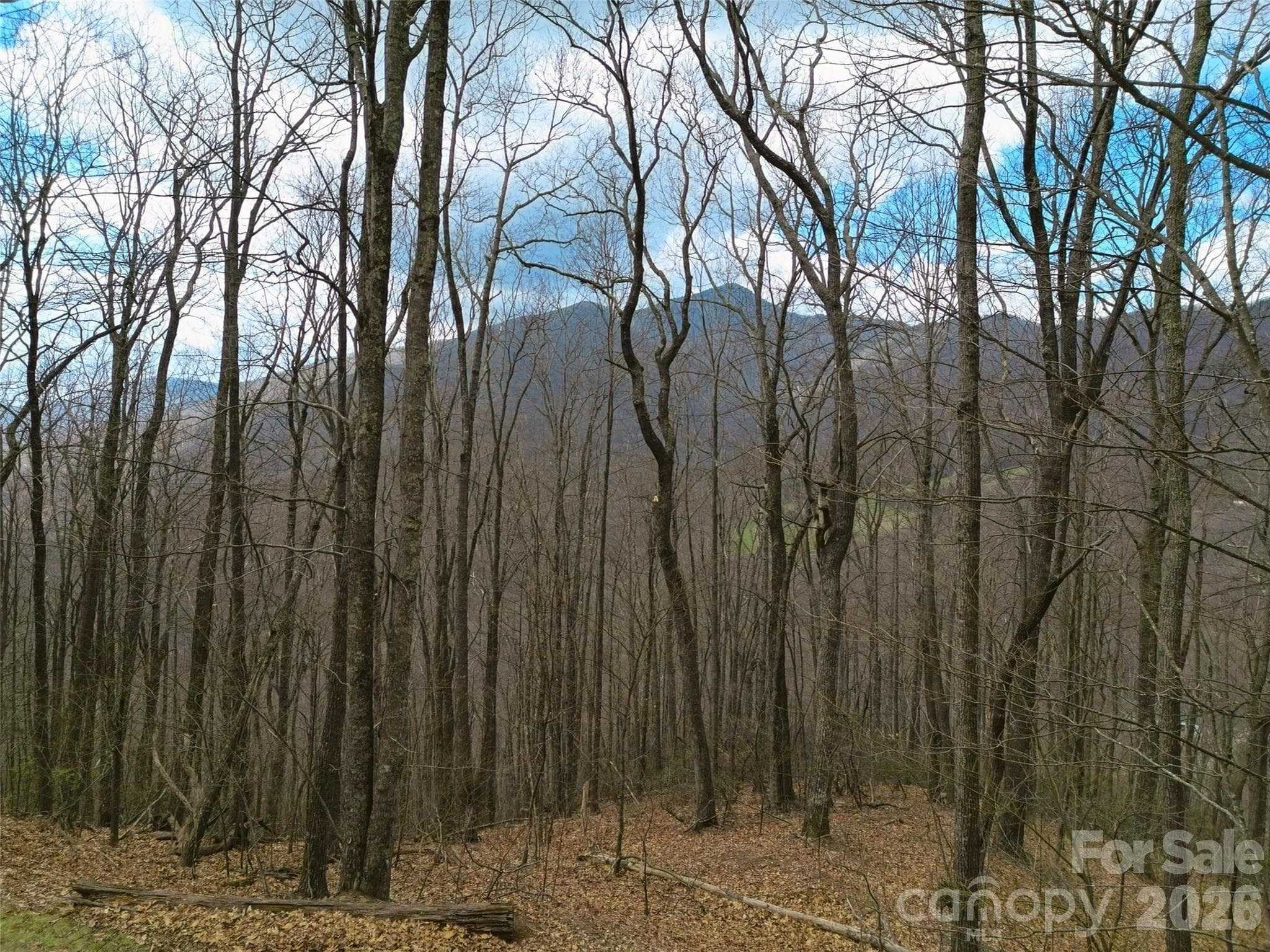 Lot at Waynesville, photo 28 of 28