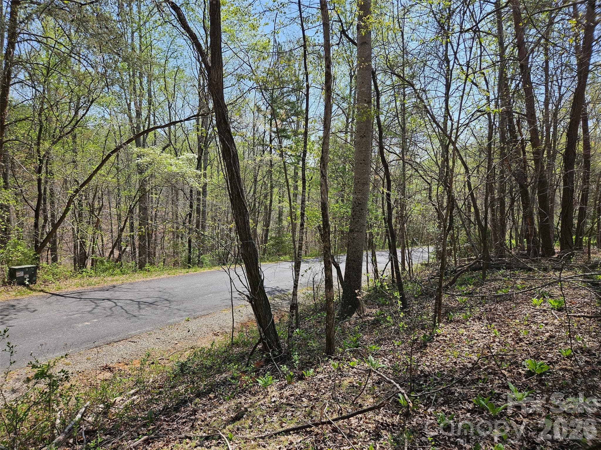 Lot at Lake Lure, photo 9 of 10