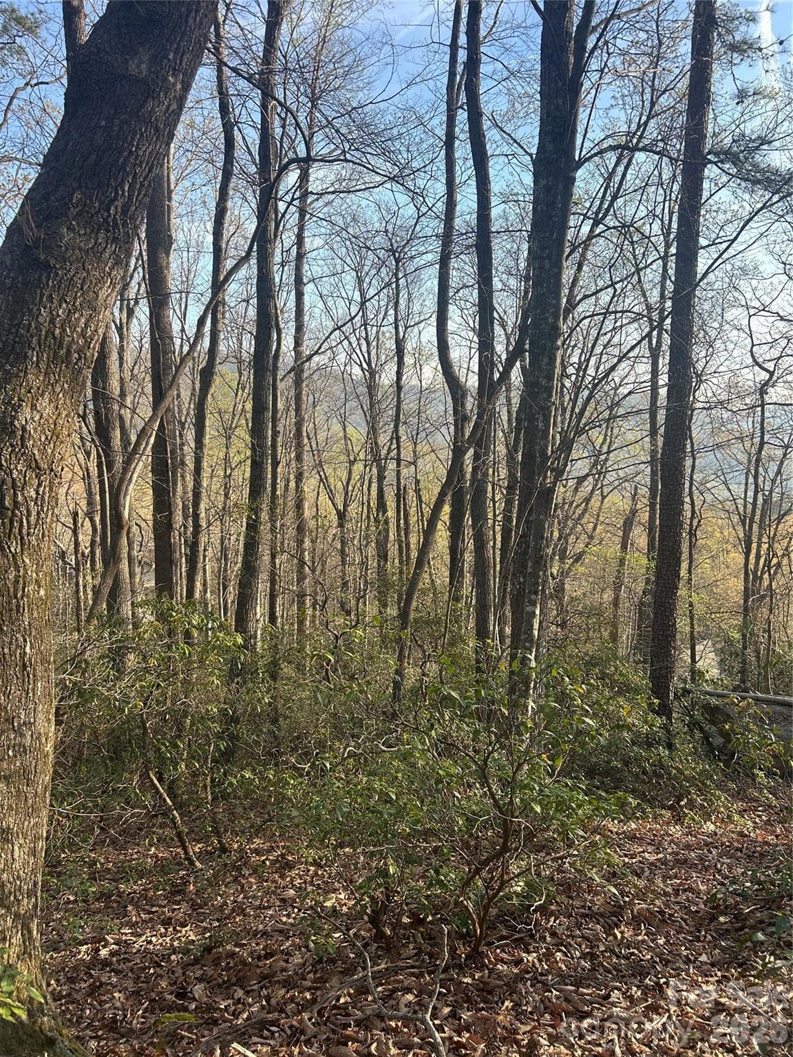 Lot at Lot 301 Cardinal Road, Lake Lure, photo 3 of 18