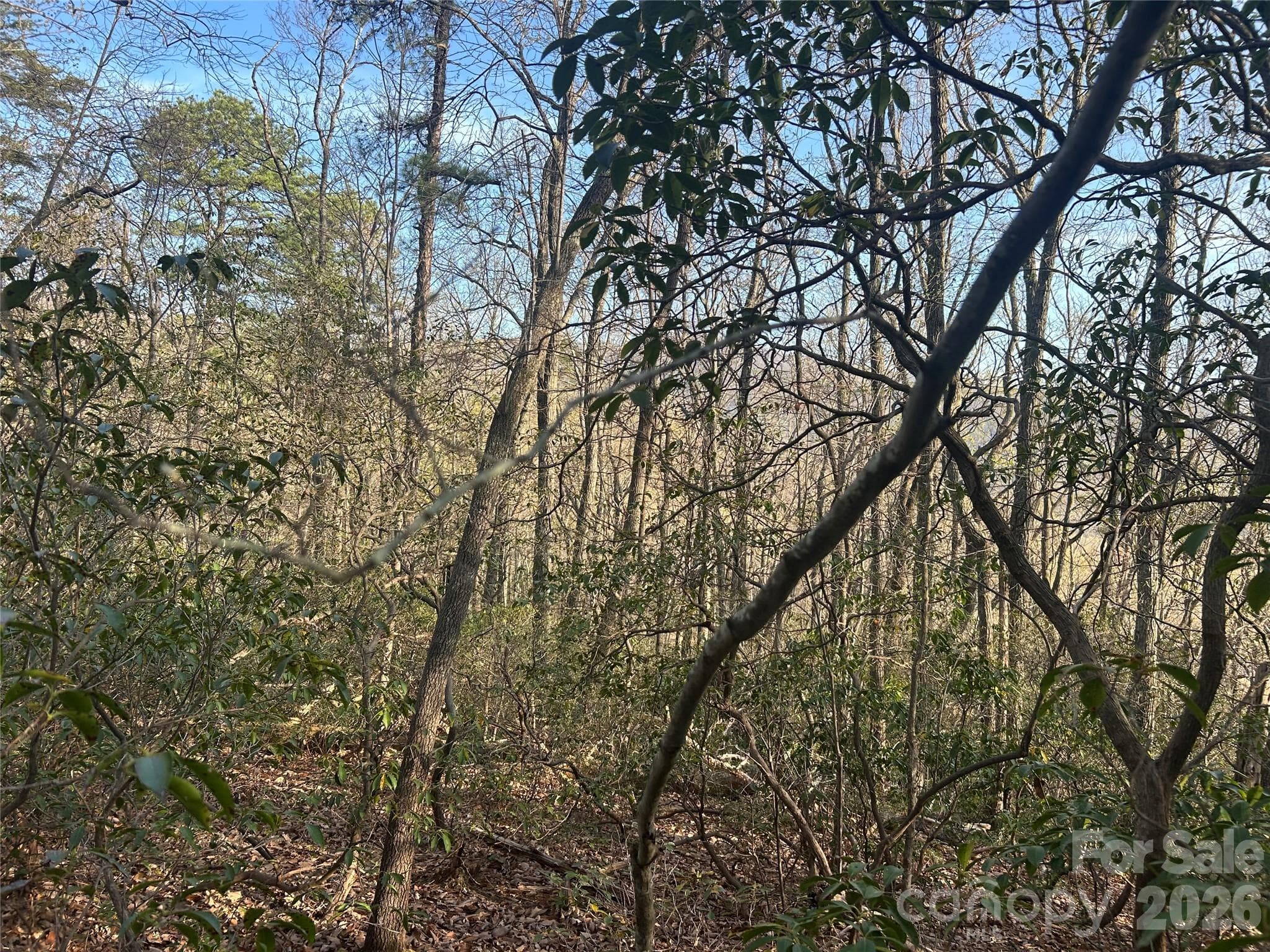 Lot at Lot 301 Cardinal Road, Lake Lure, photo 5 of 18