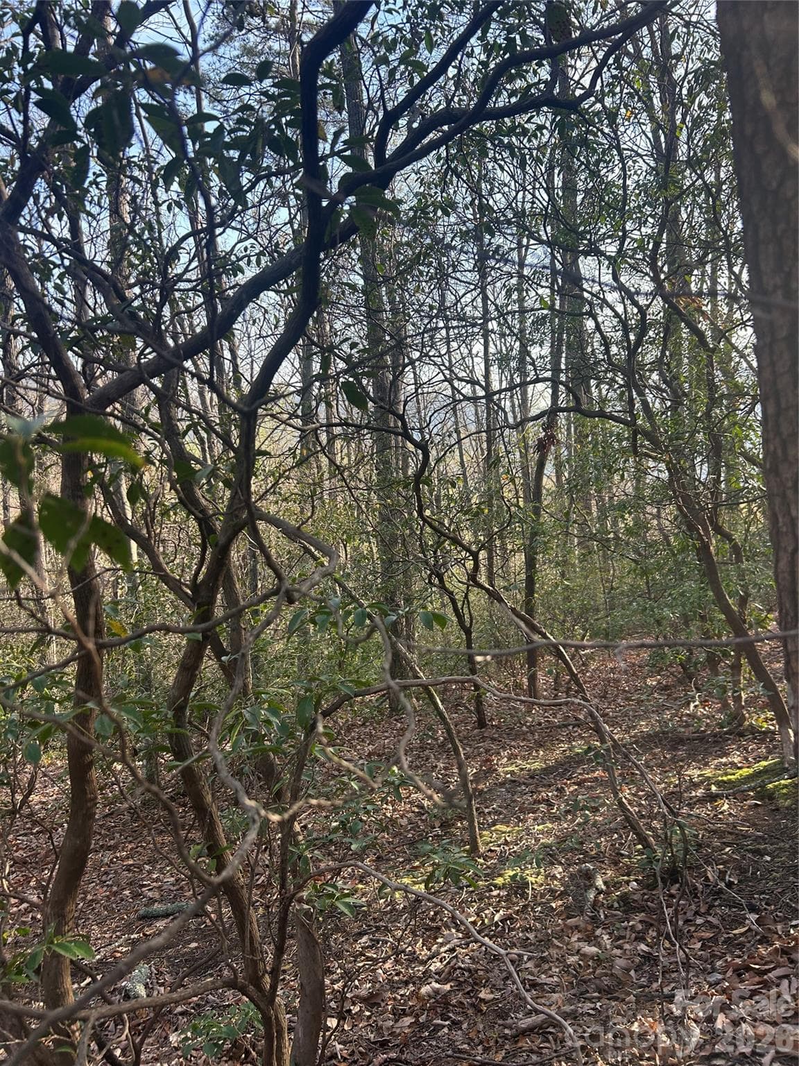 Lot at Lot 301 Cardinal Road, Lake Lure, photo 6 of 18