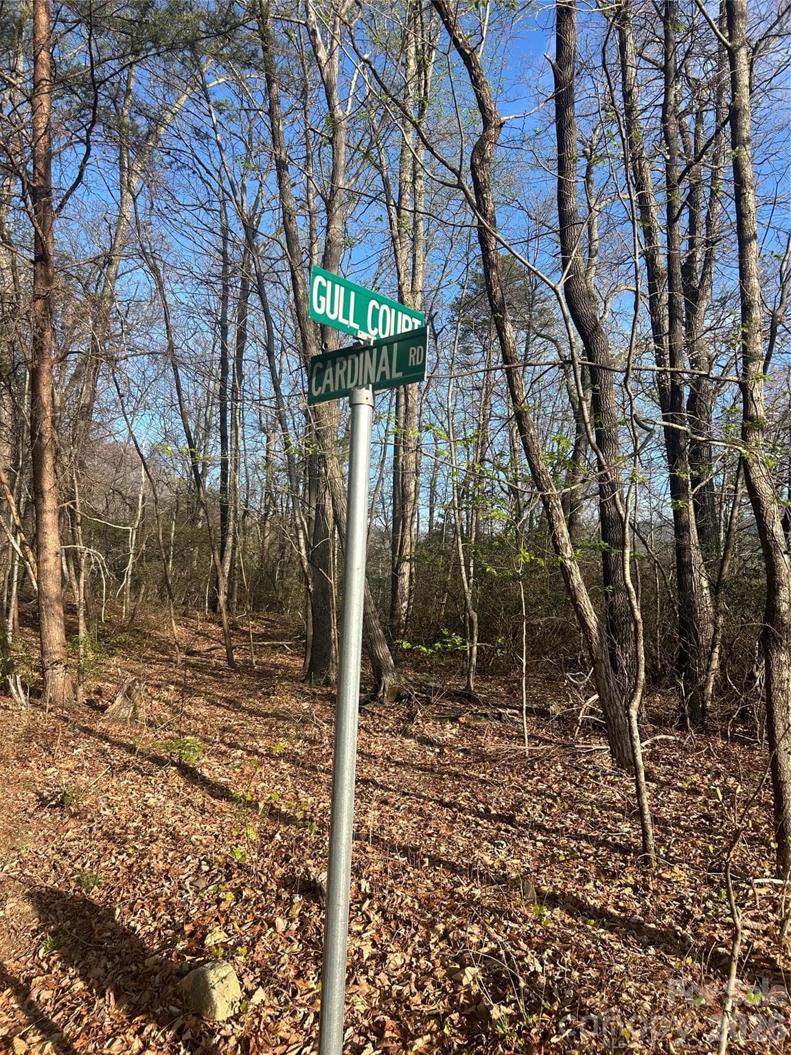 Lot at Lot 301 Cardinal Road, Lake Lure, photo 7 of 18
