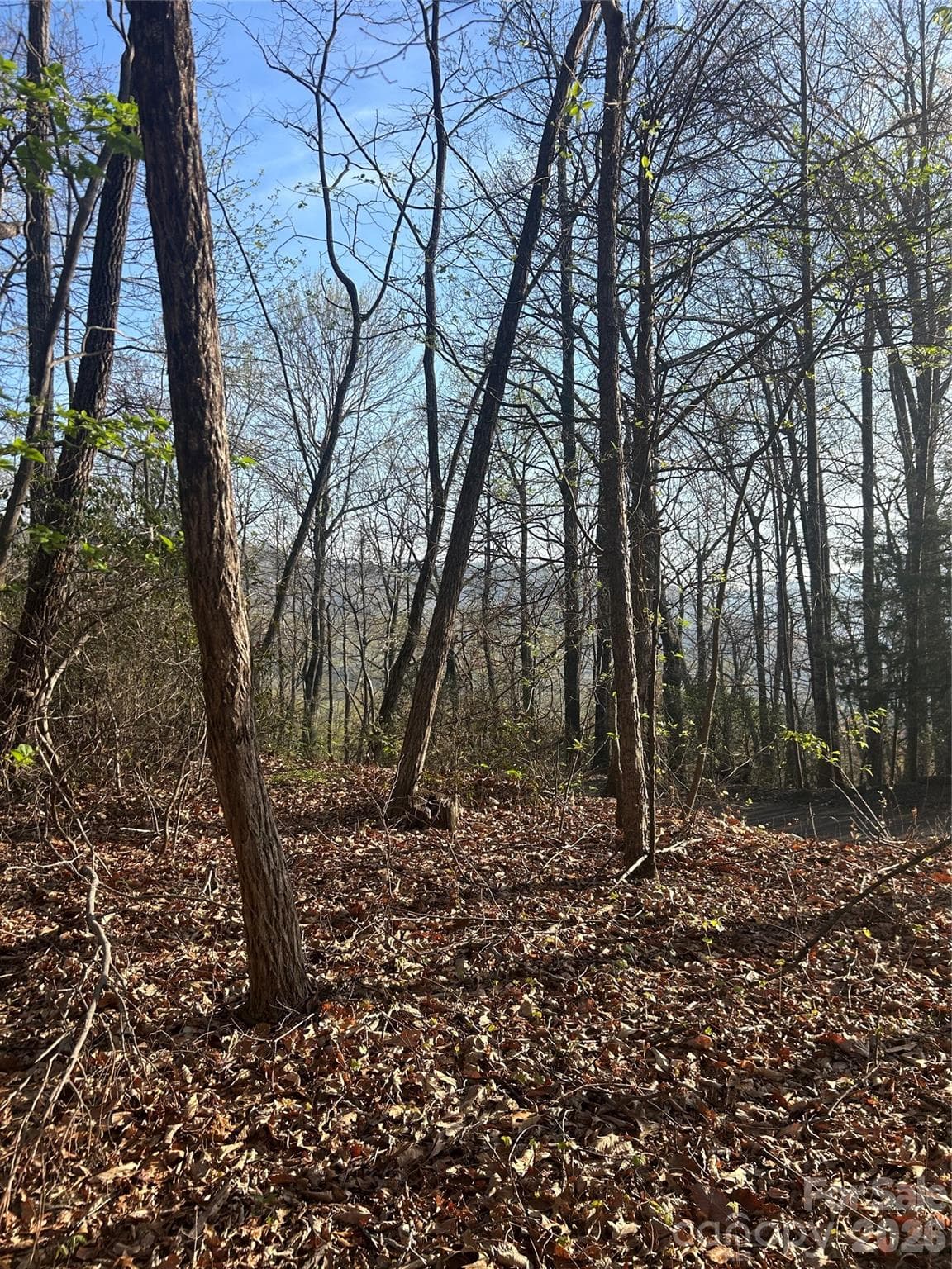 Lot at Lot 301 Cardinal Road, Lake Lure, photo 9 of 18