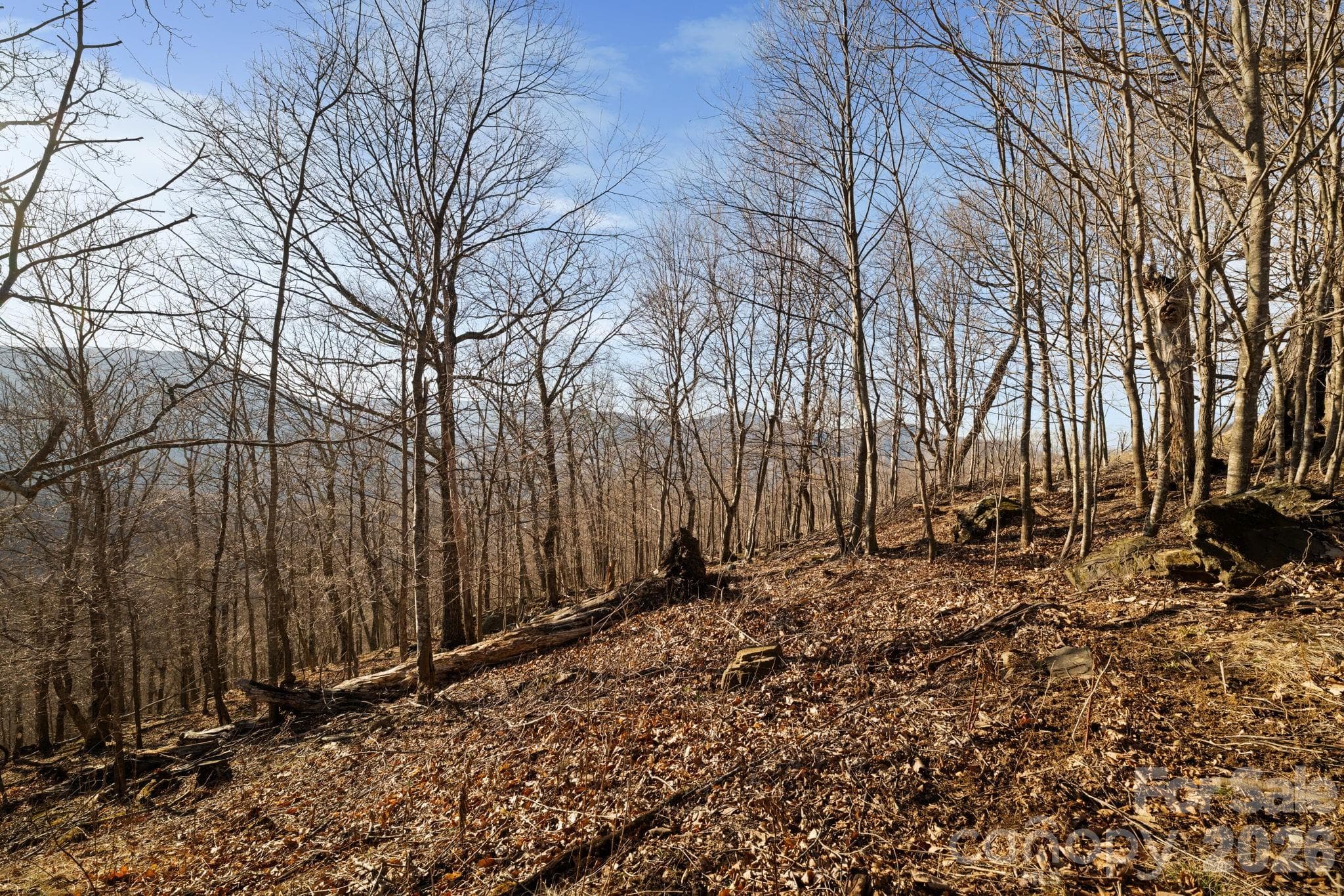 Lot at TBD Lauren Lane, West Jefferson, photo 7 of 22