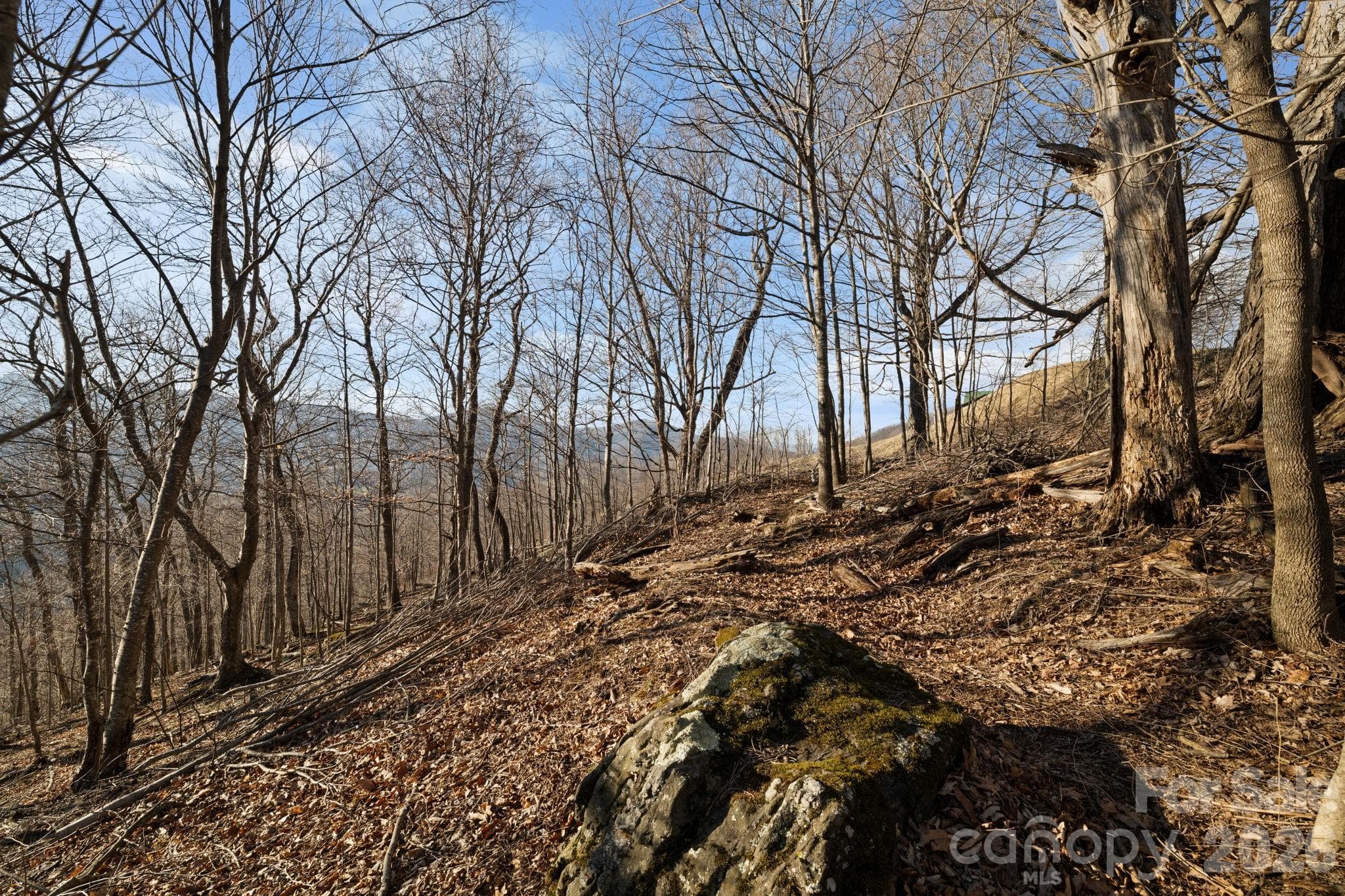 Lot at TBD Lauren Lane, West Jefferson, photo 9 of 22