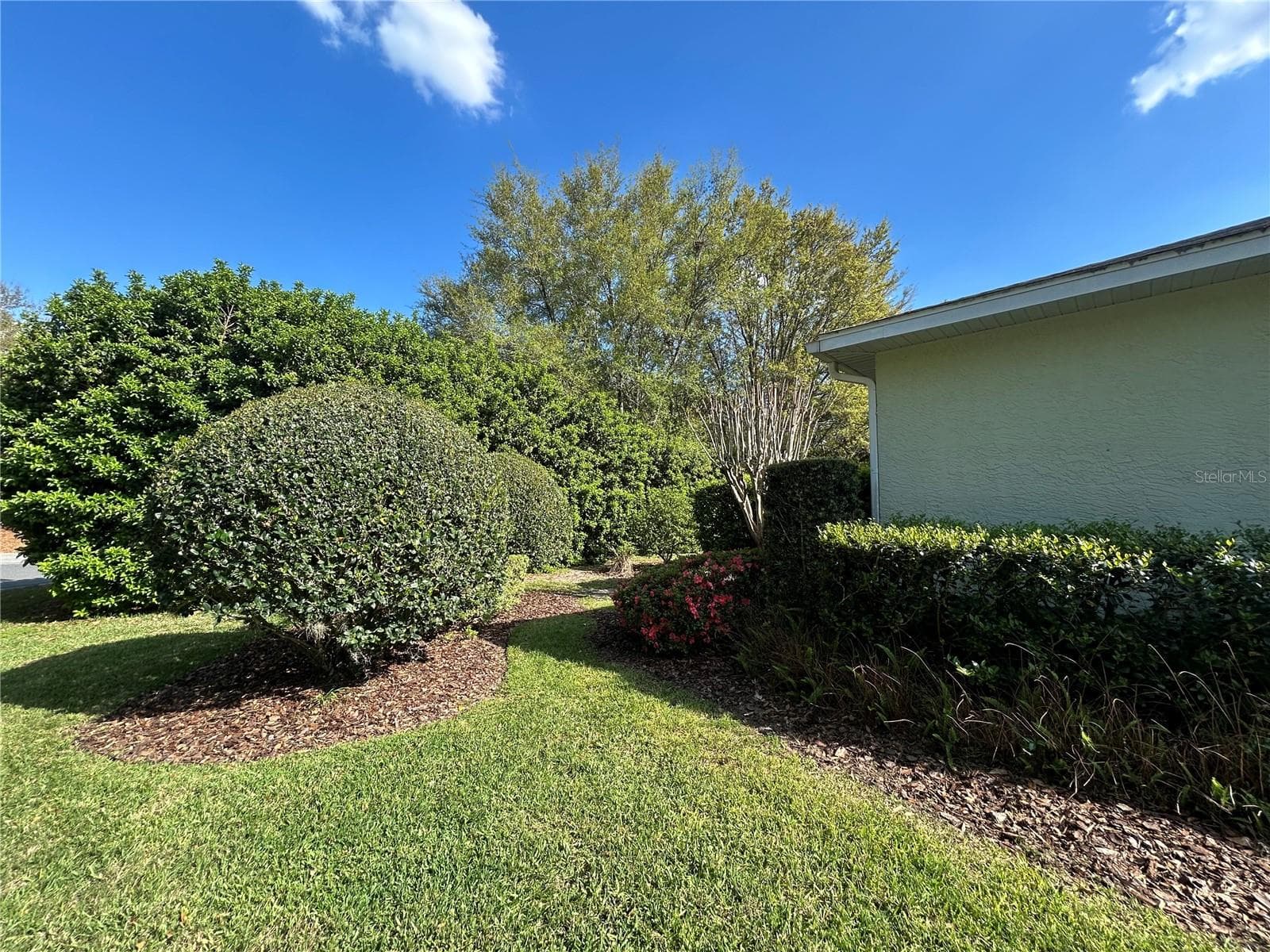 Back left side - 8368 SW 79TH CIR, OCALA