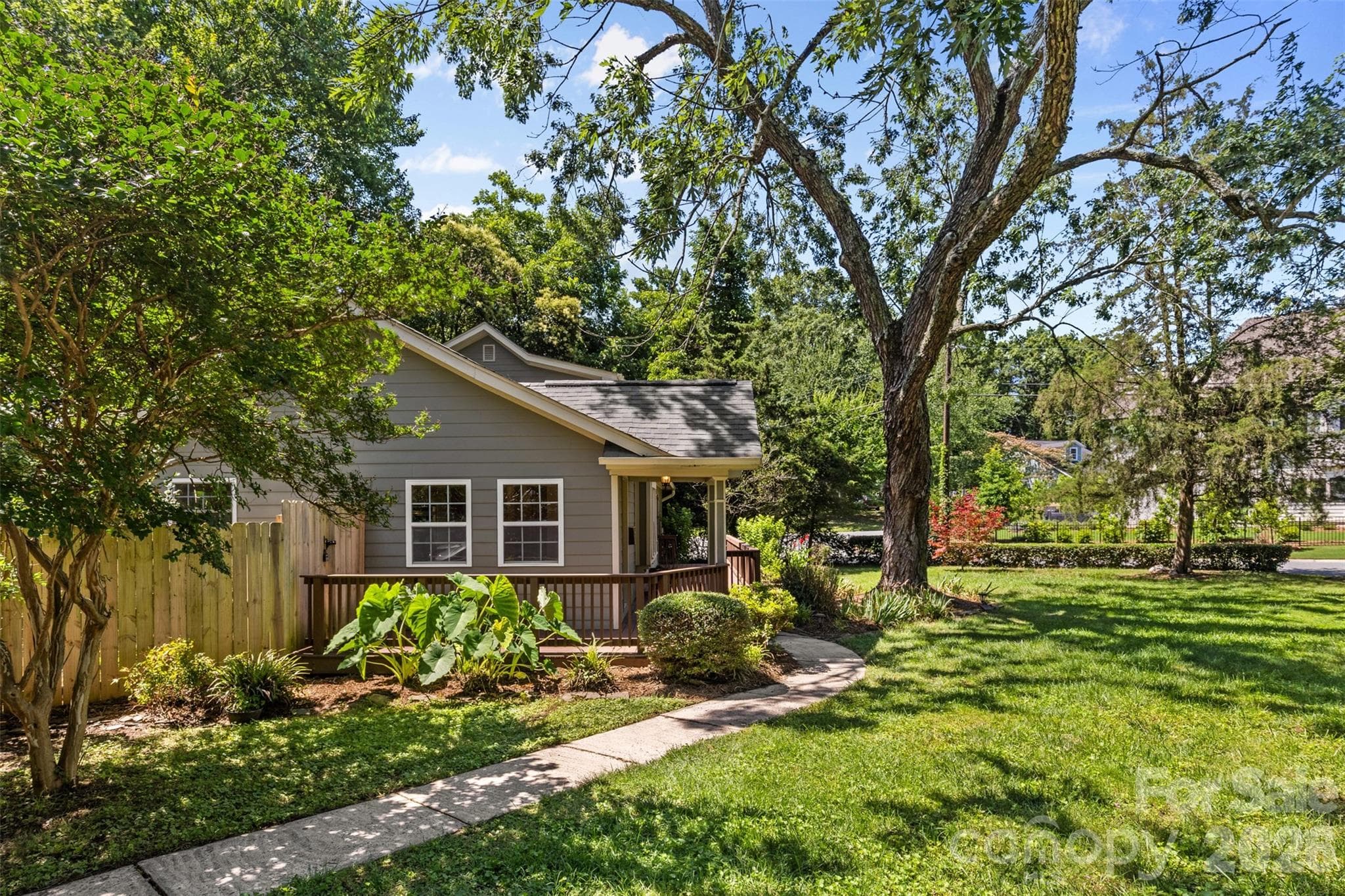 Side Yard - Charlotte