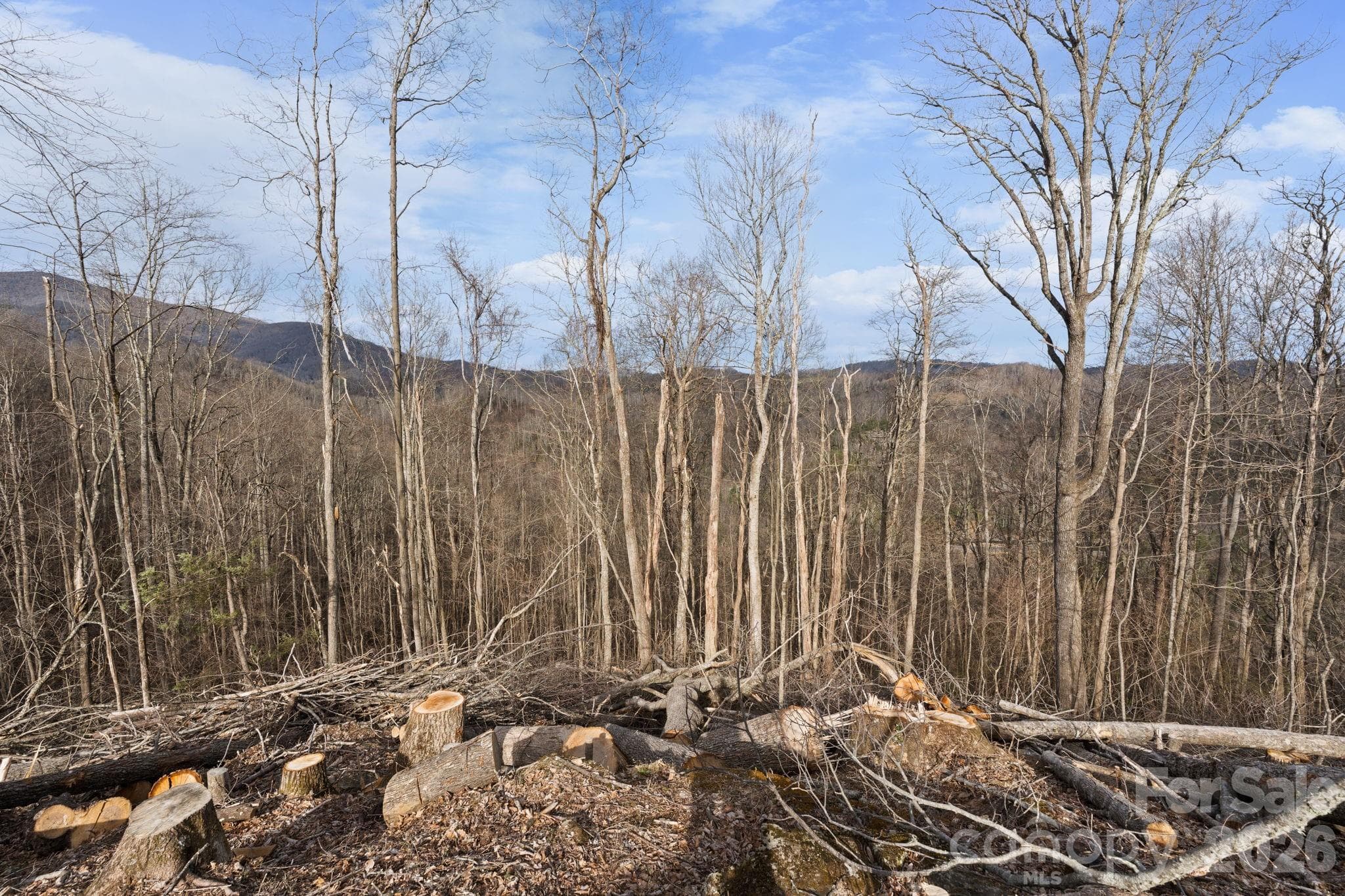 Acreage at TBD Pinnacle View, Elk Park, photo 5 of 15