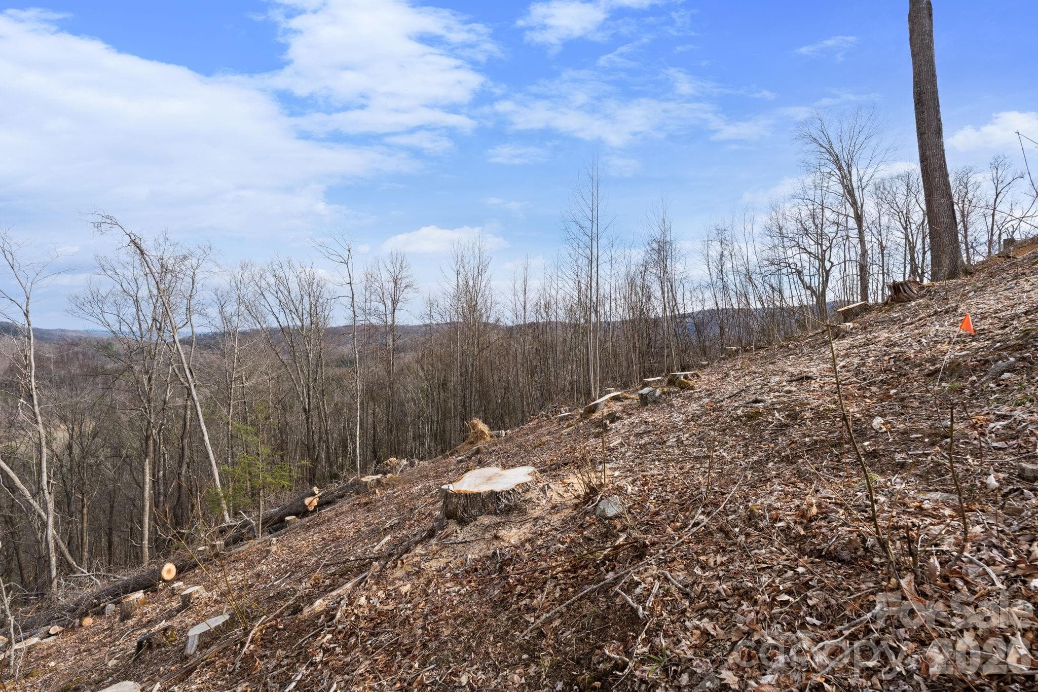 Acreage at TBD Pinnacle View, Elk Park, photo 7 of 15