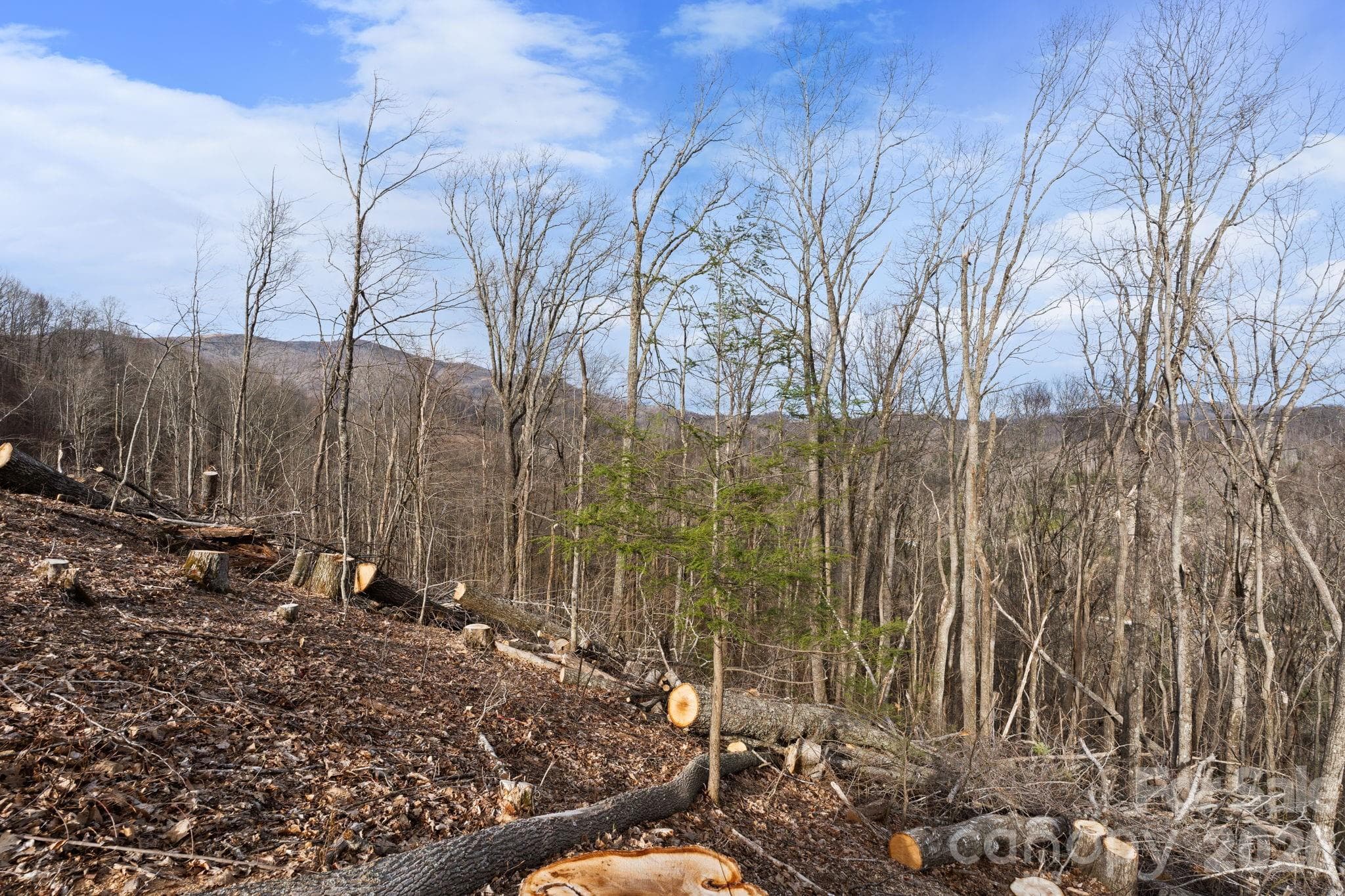 Acreage at TBD Pinnacle View, Elk Park, photo 8 of 15