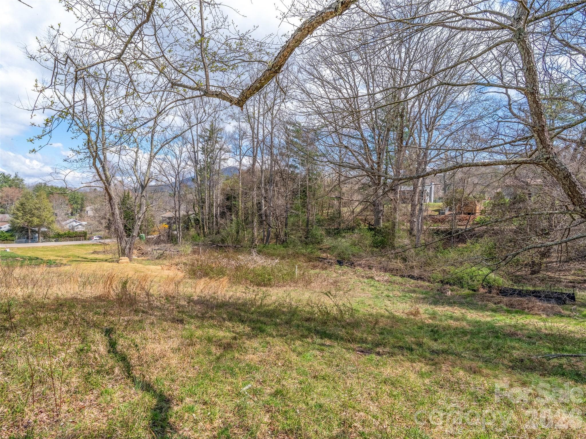 Lot at Asheville, photo 2 of 12