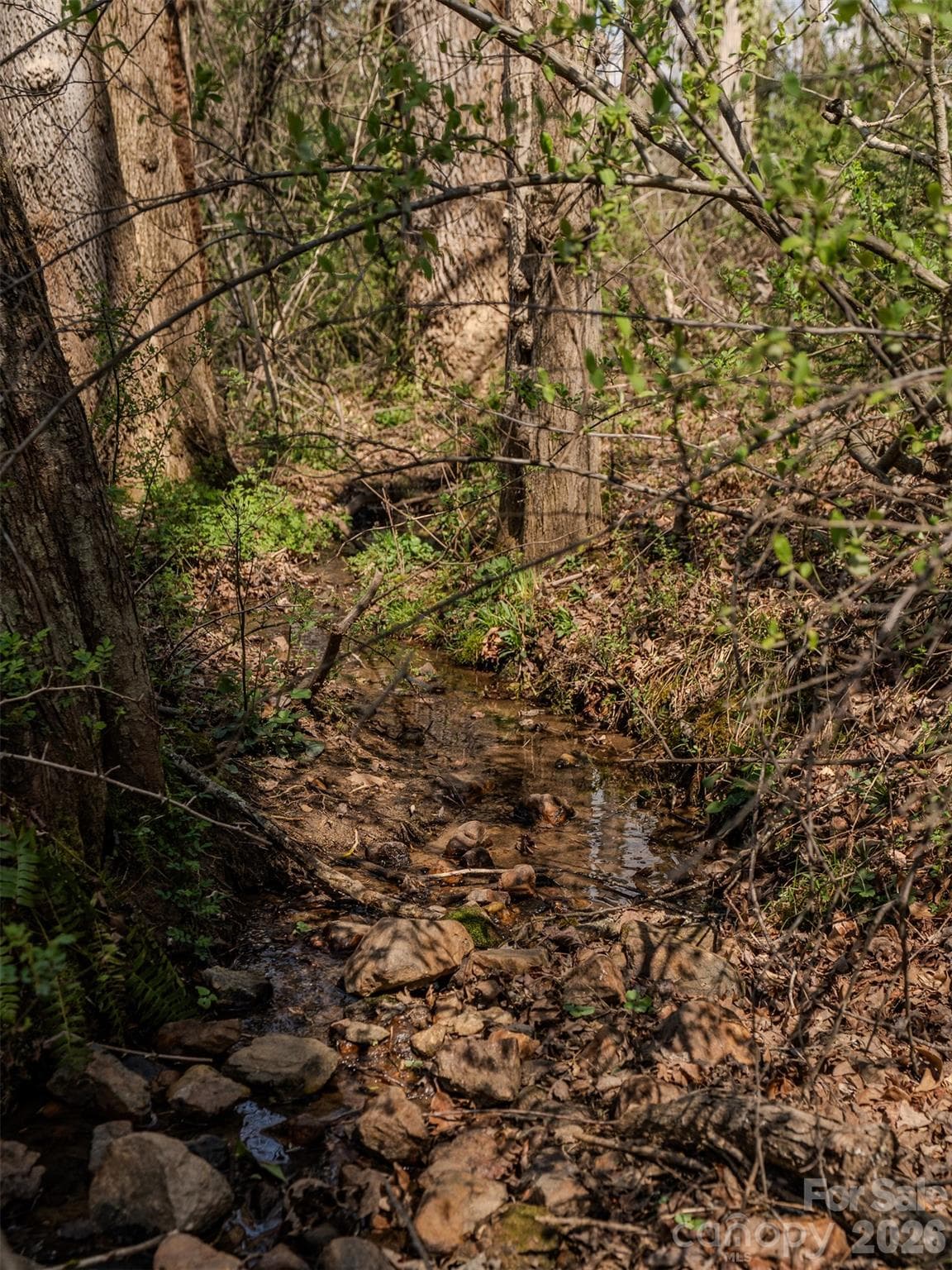 Lot end near Overlook Circle - Asheville