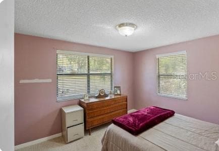 Single Family Residence at 270 W MCCLENDON ST, LADY LAKE, photo 12 of 46
