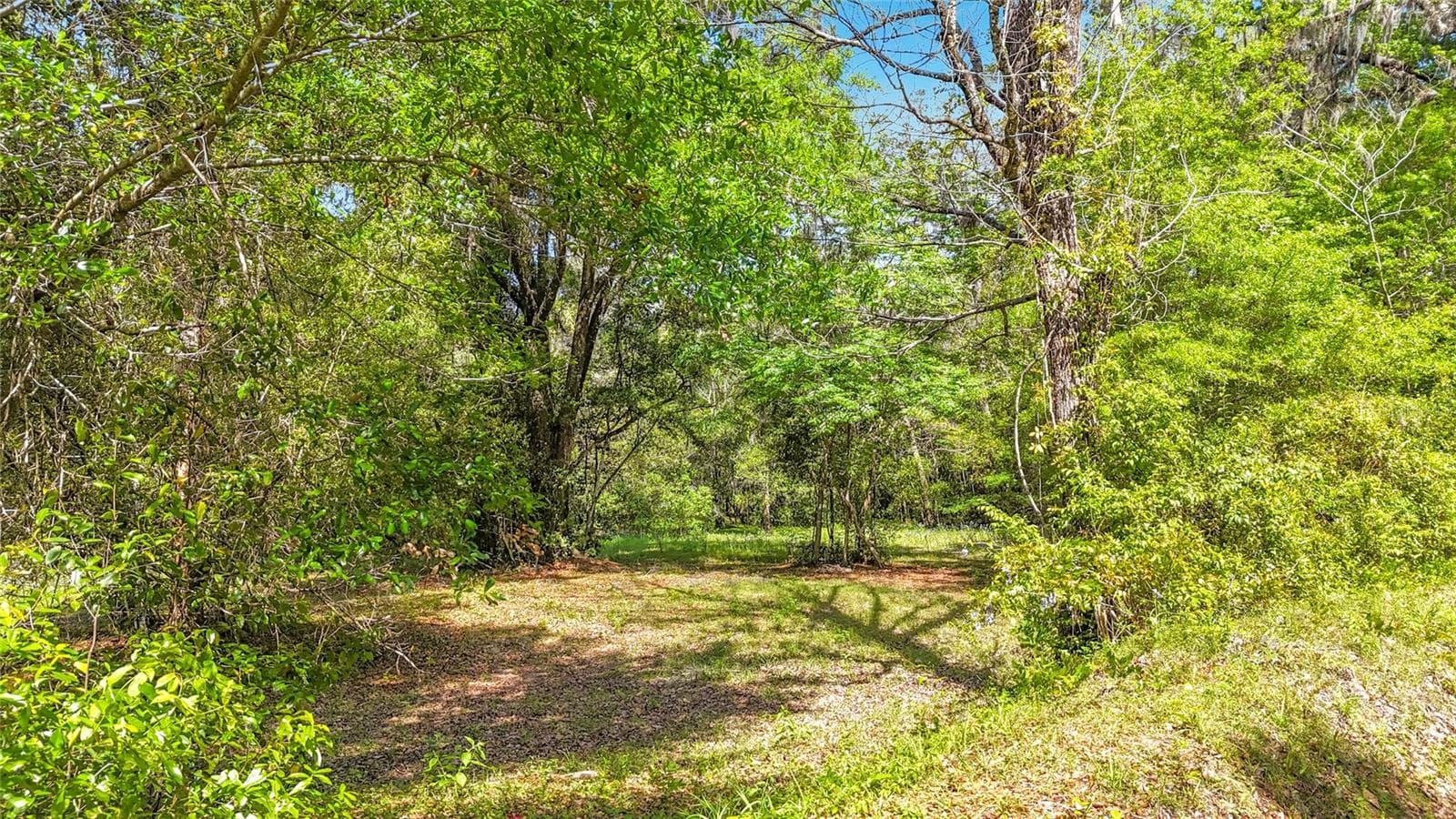 Land at Lot 000 NW 39TH AVE, GAINESVILLE, photo 8 of 15
