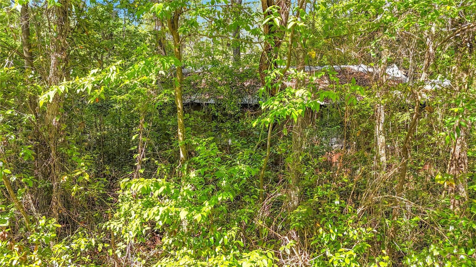 Land at Lot 001 NW 37TH DR, GAINESVILLE, photo 9 of 15