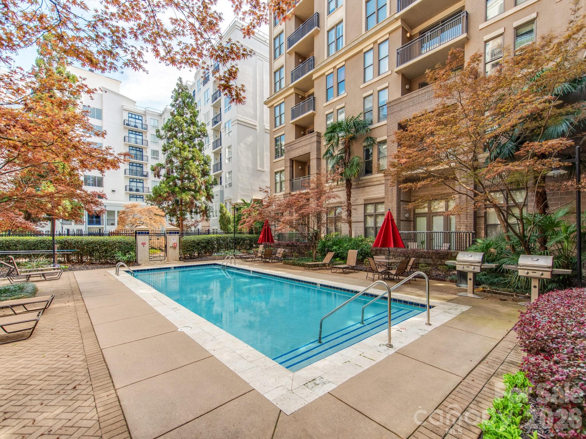 large inground pool - Charlotte