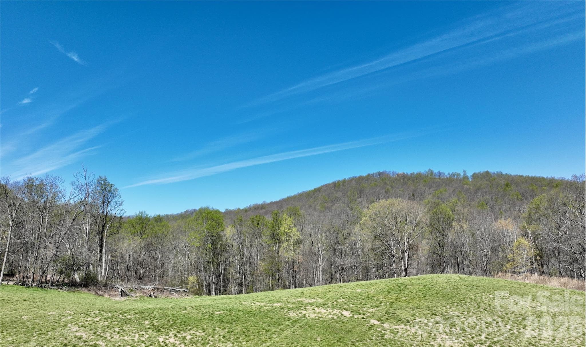 Acreage at Taylorsville, photo 9 of 9