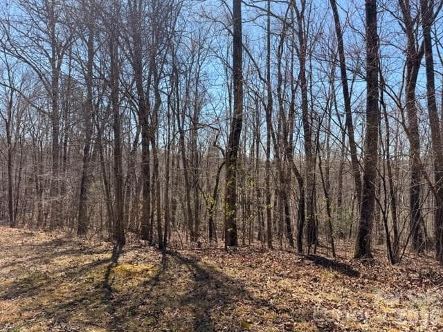 Acreage at Nebo, photo 3 of 10