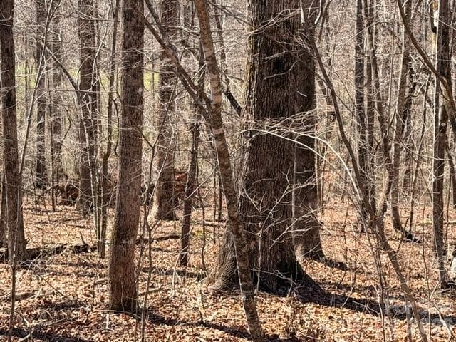 Acreage at Nebo, photo 4 of 10