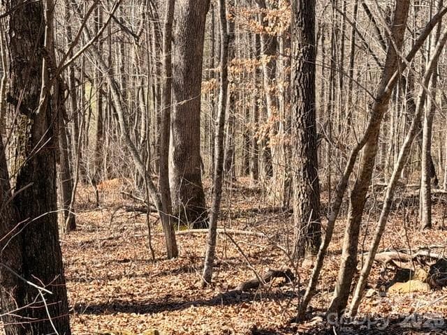 Acreage at Nebo, photo 5 of 10